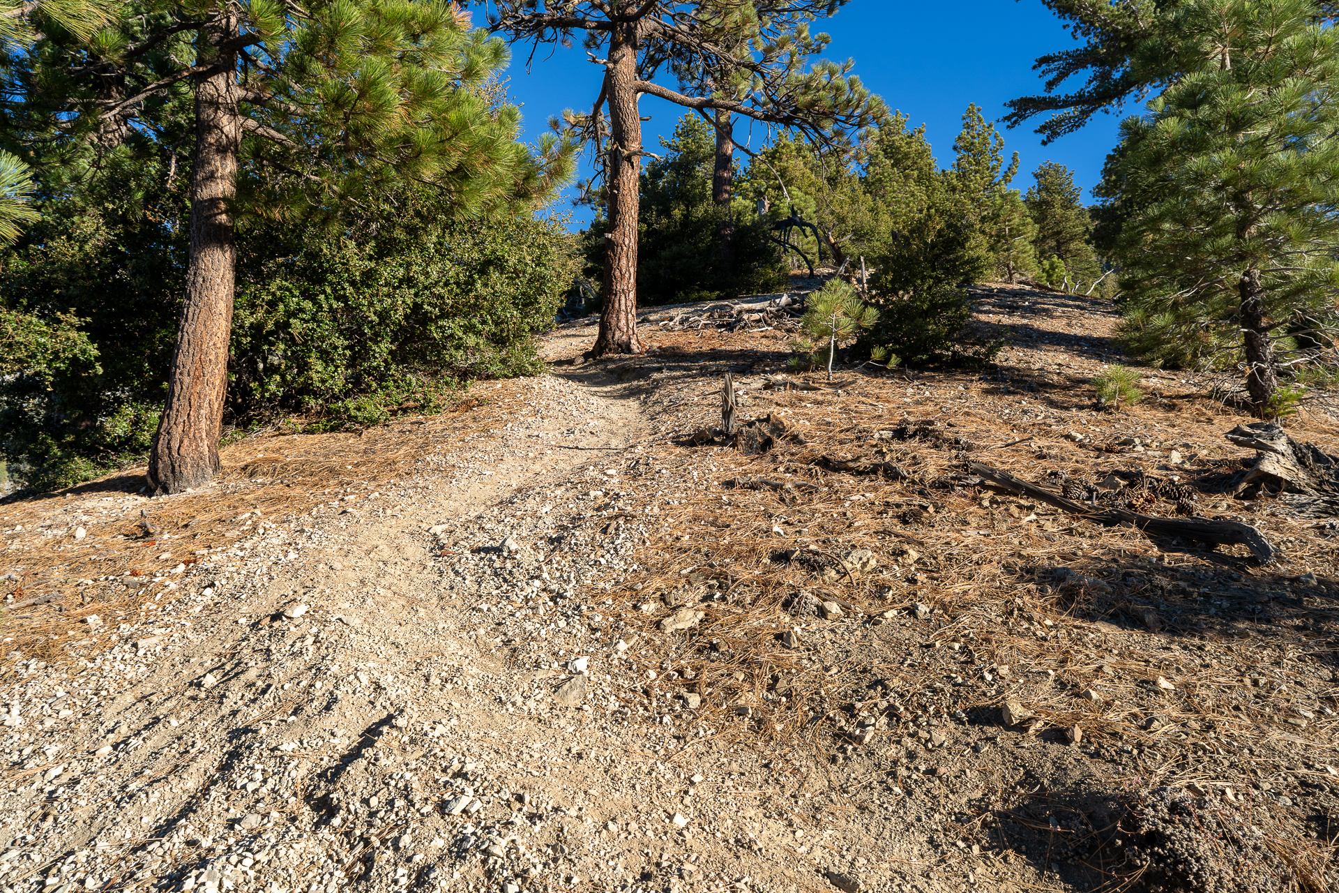 Baldy-Pine-Baldy Traverse