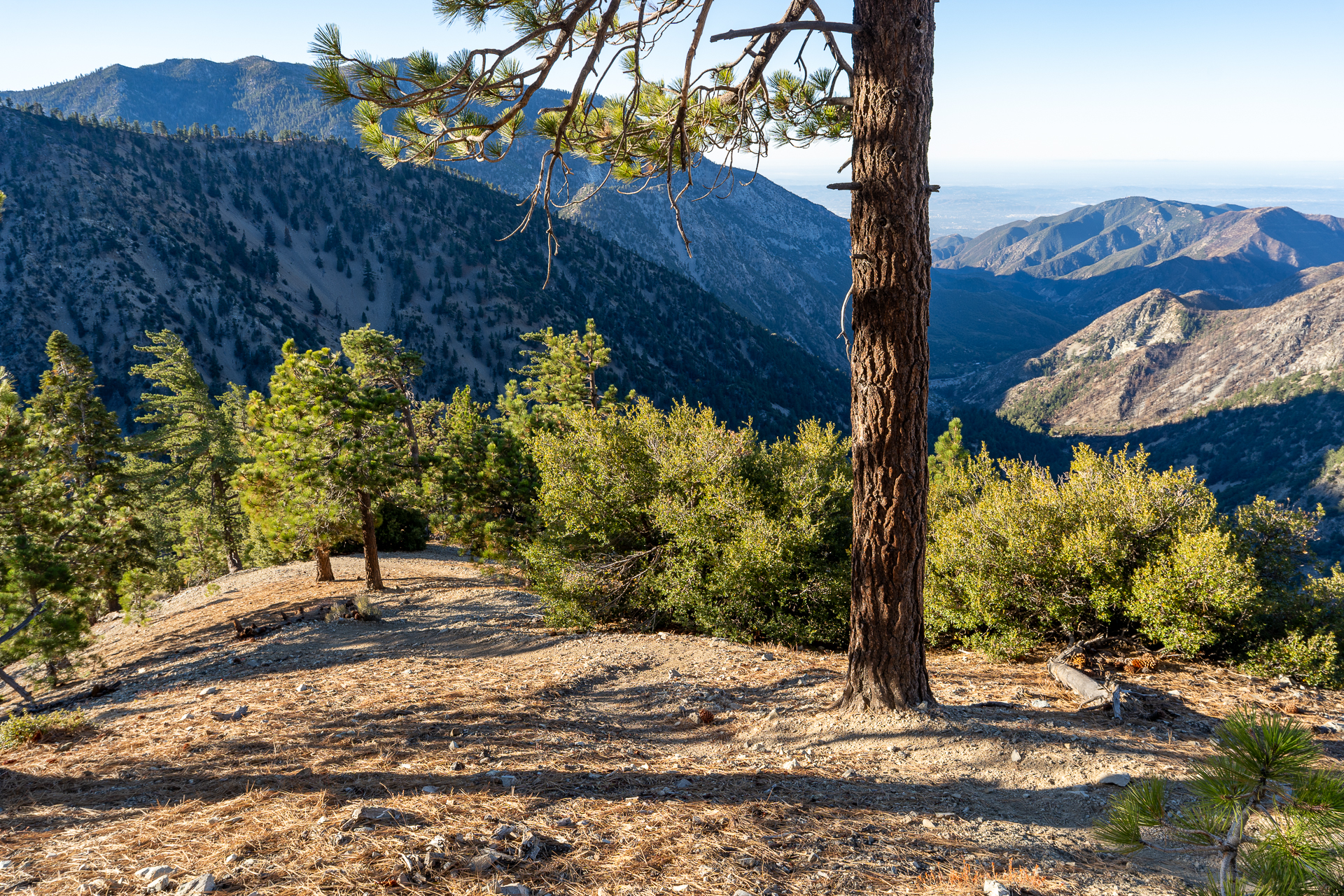 Baldy-Pine-Baldy Traverse
