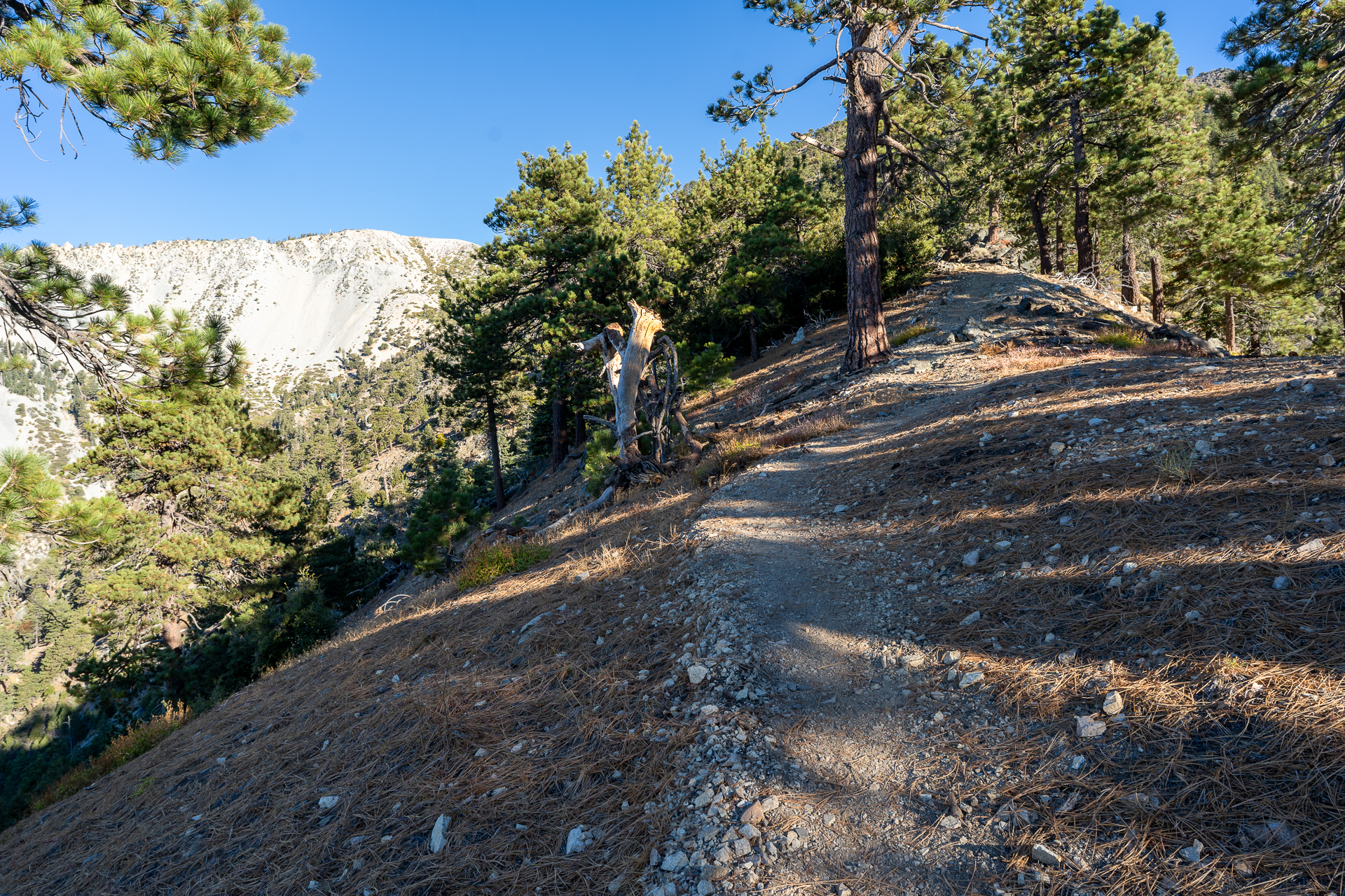 Baldy-Pine-Baldy Traverse