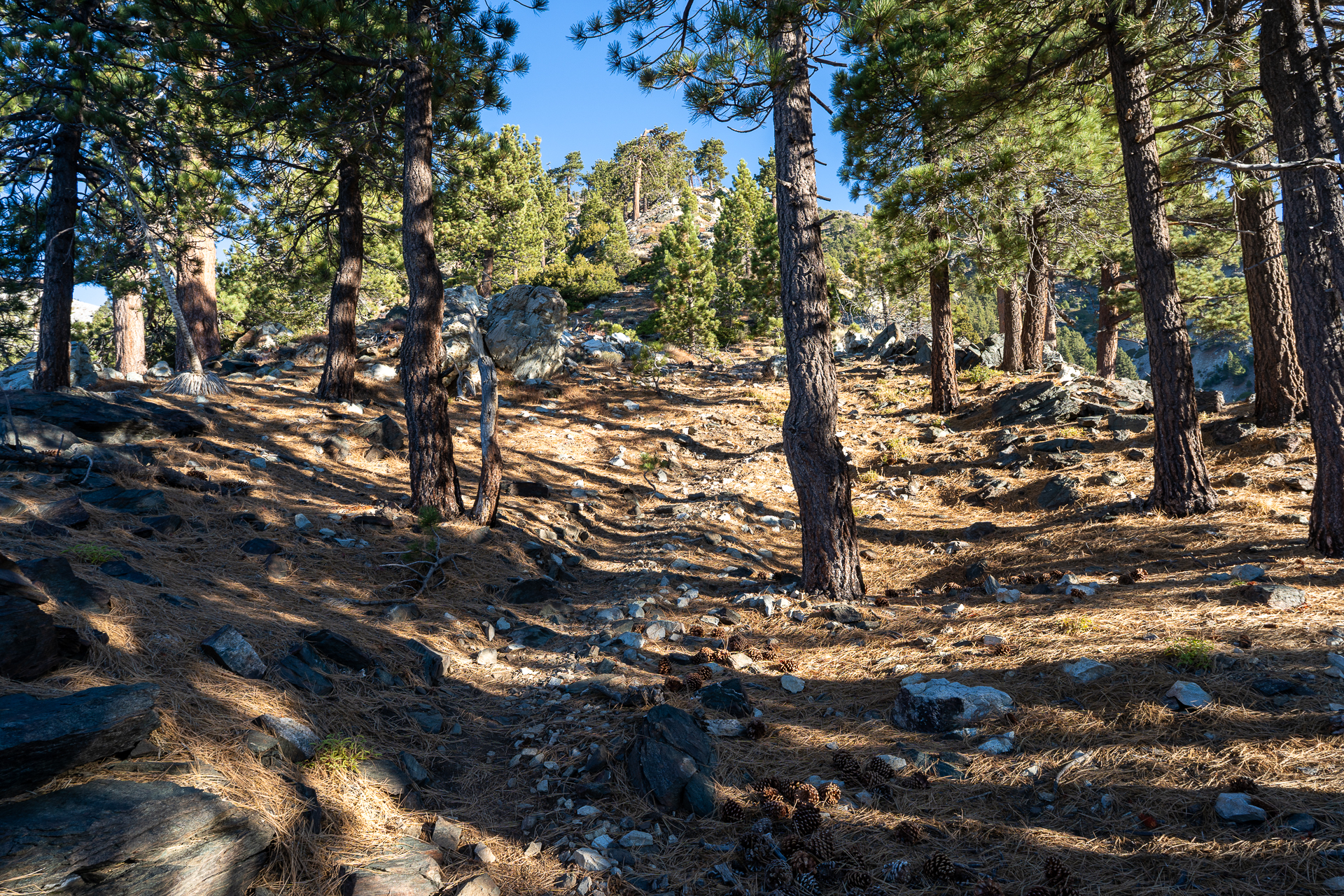 Baldy-Pine-Baldy Traverse