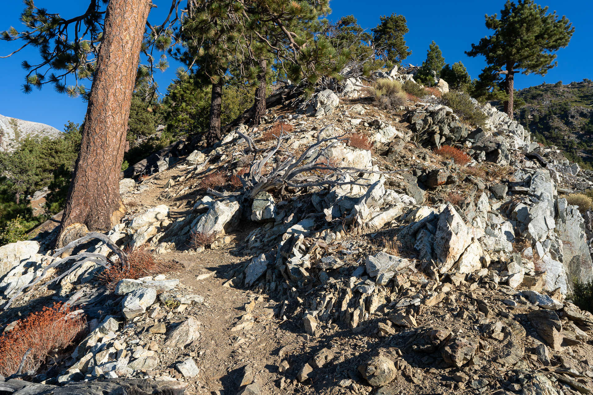 Baldy-Pine-Baldy Traverse