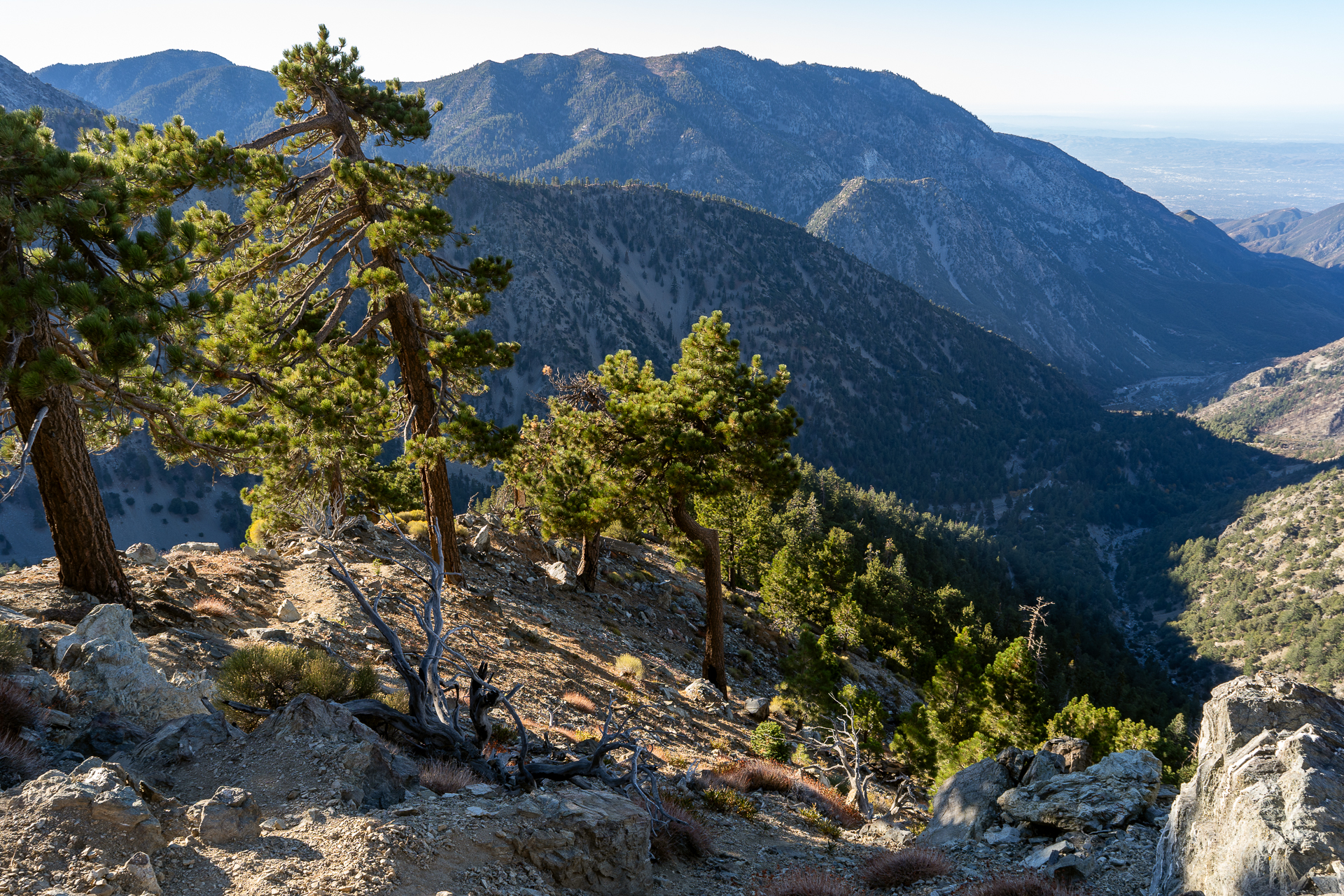 Baldy-Pine-Baldy Traverse