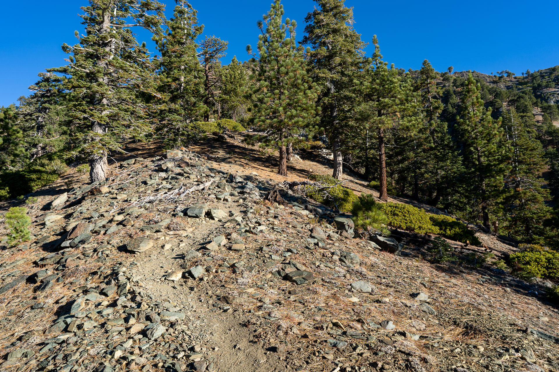 Baldy-Pine-Baldy Traverse