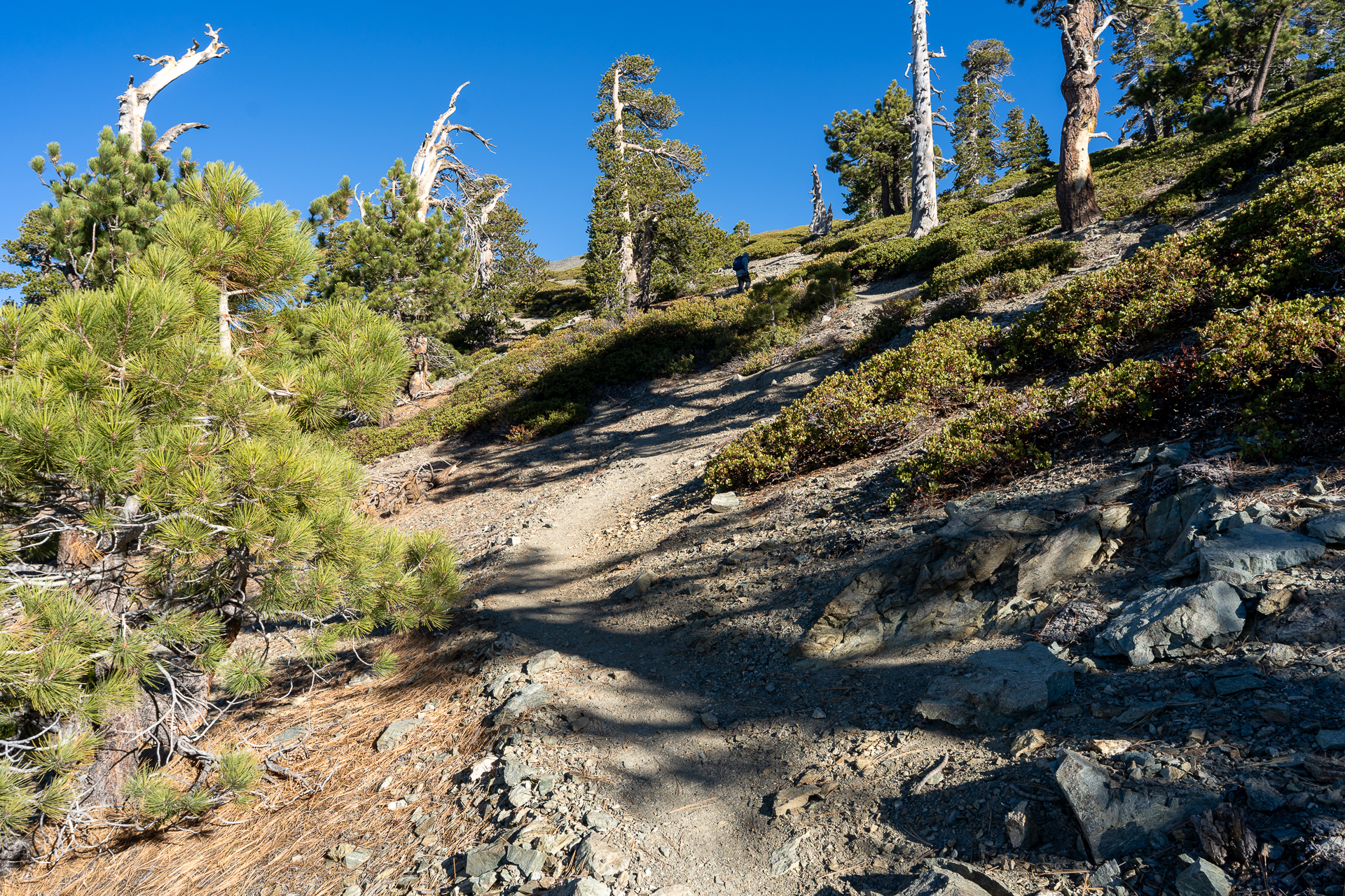 Baldy-Pine-Baldy Traverse