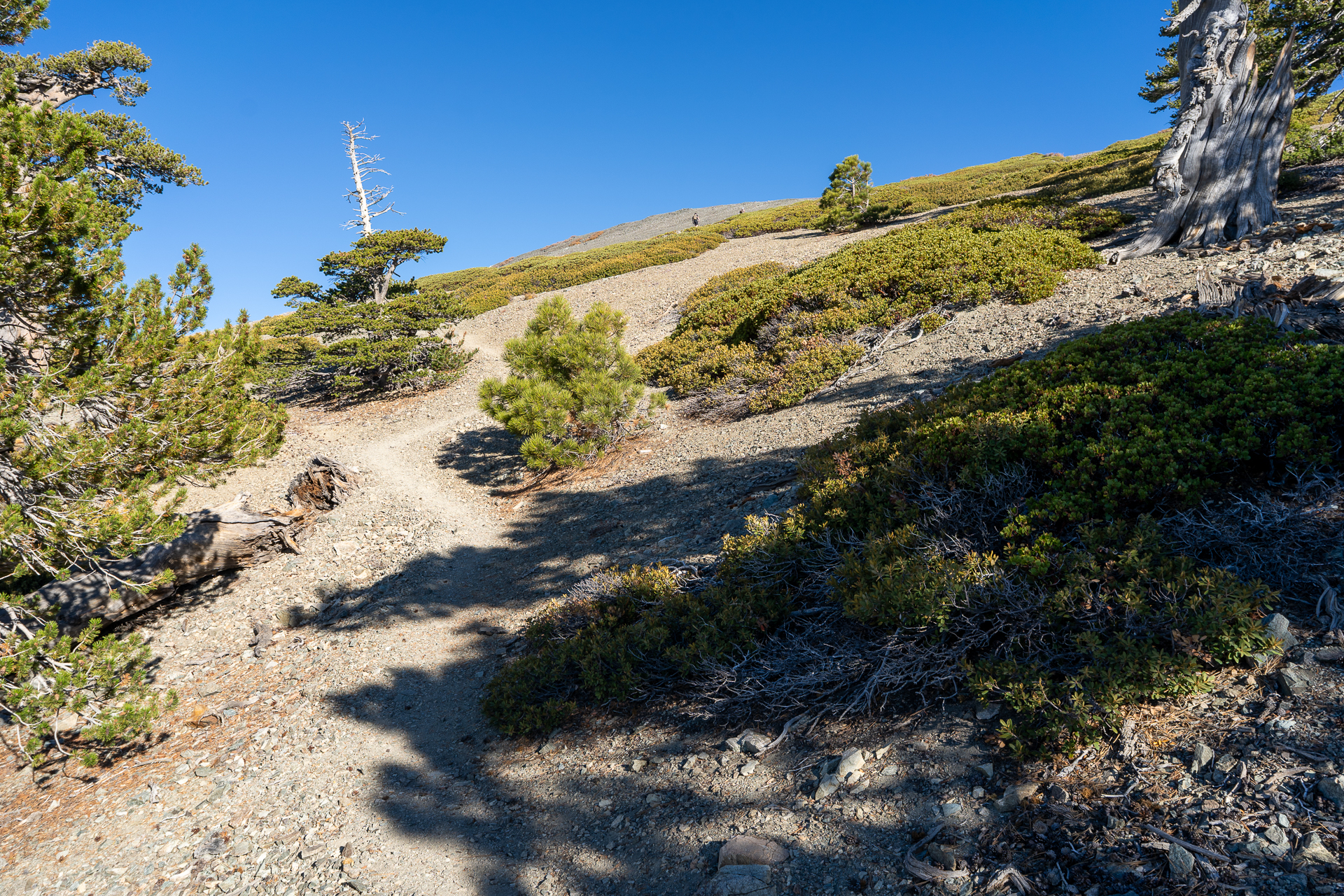 Baldy-Pine-Baldy Traverse