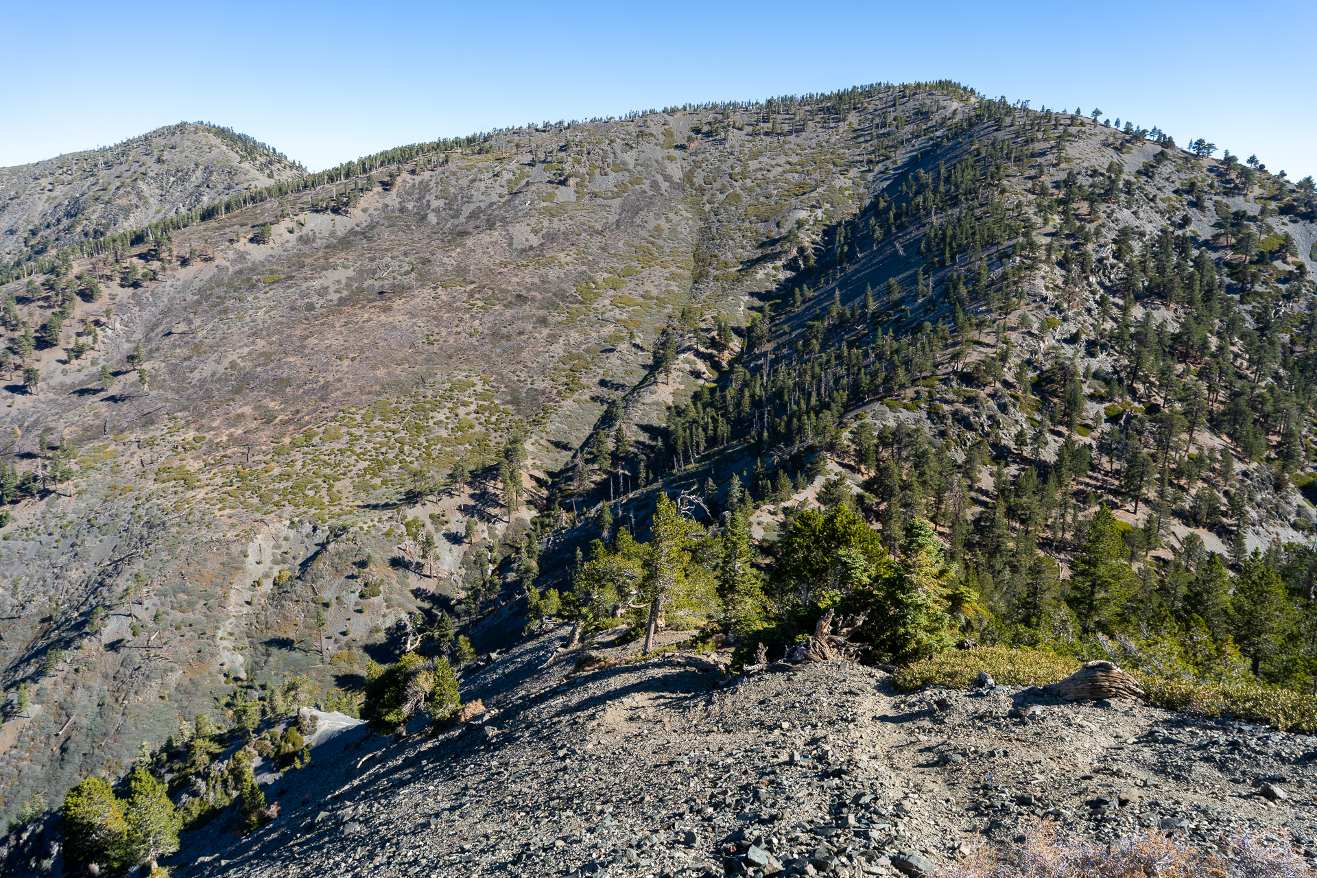 Baldy-Pine-Baldy Traverse