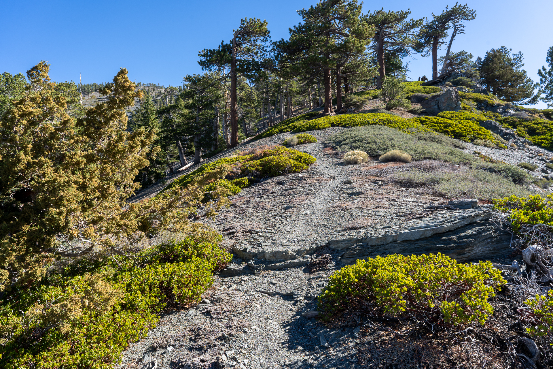 Baldy-Pine-Baldy Traverse