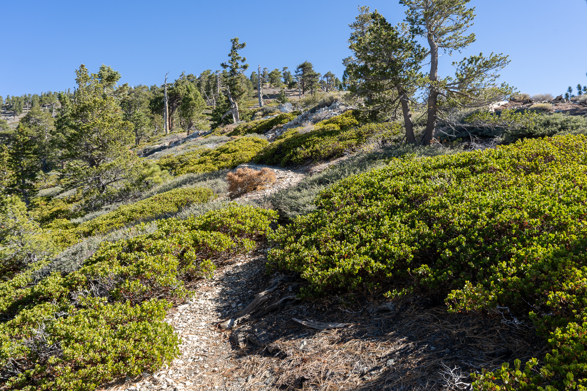 Baldy-Pine-Baldy Traverse