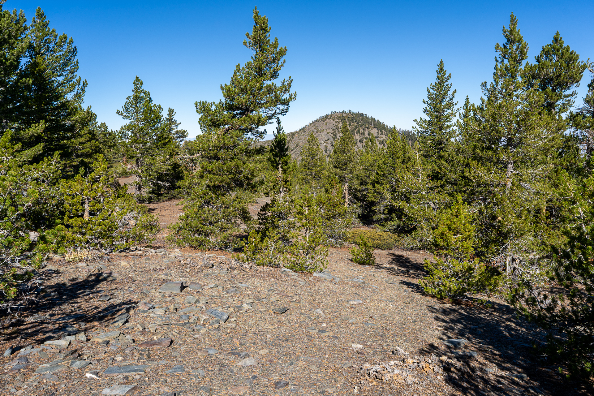 Baldy-Pine-Baldy Traverse