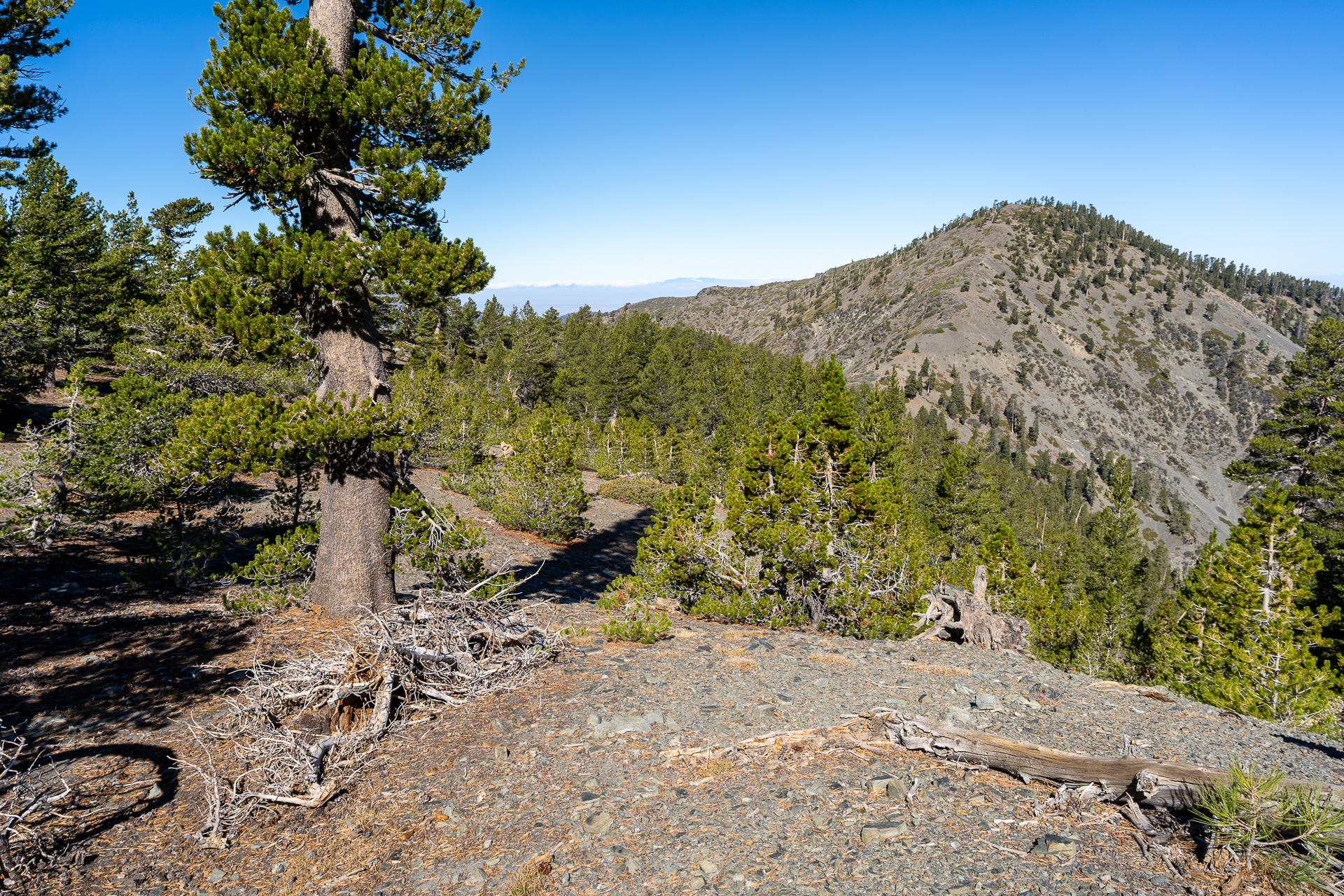 Baldy-Pine-Baldy Traverse