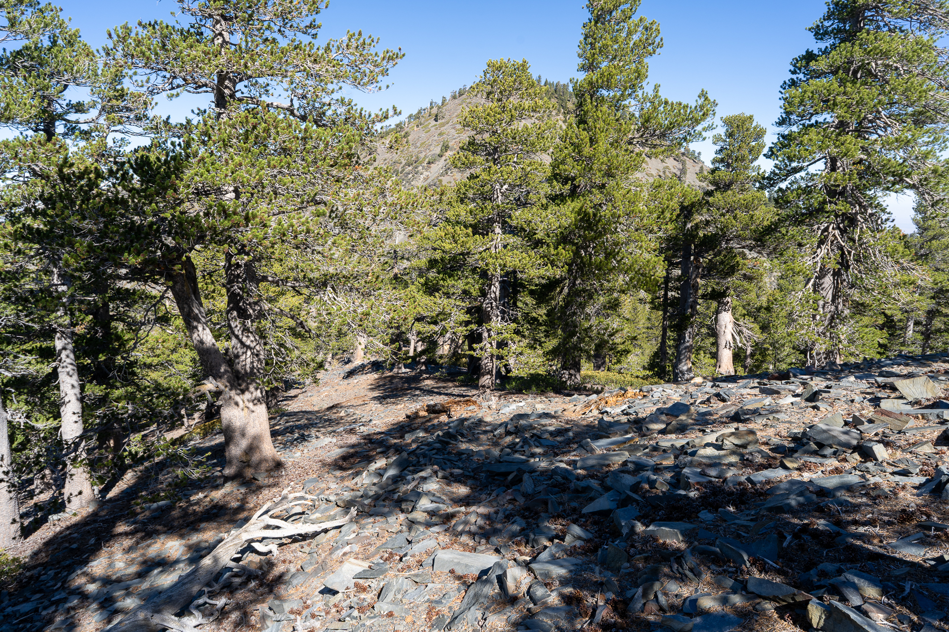 Baldy-Pine-Baldy Traverse