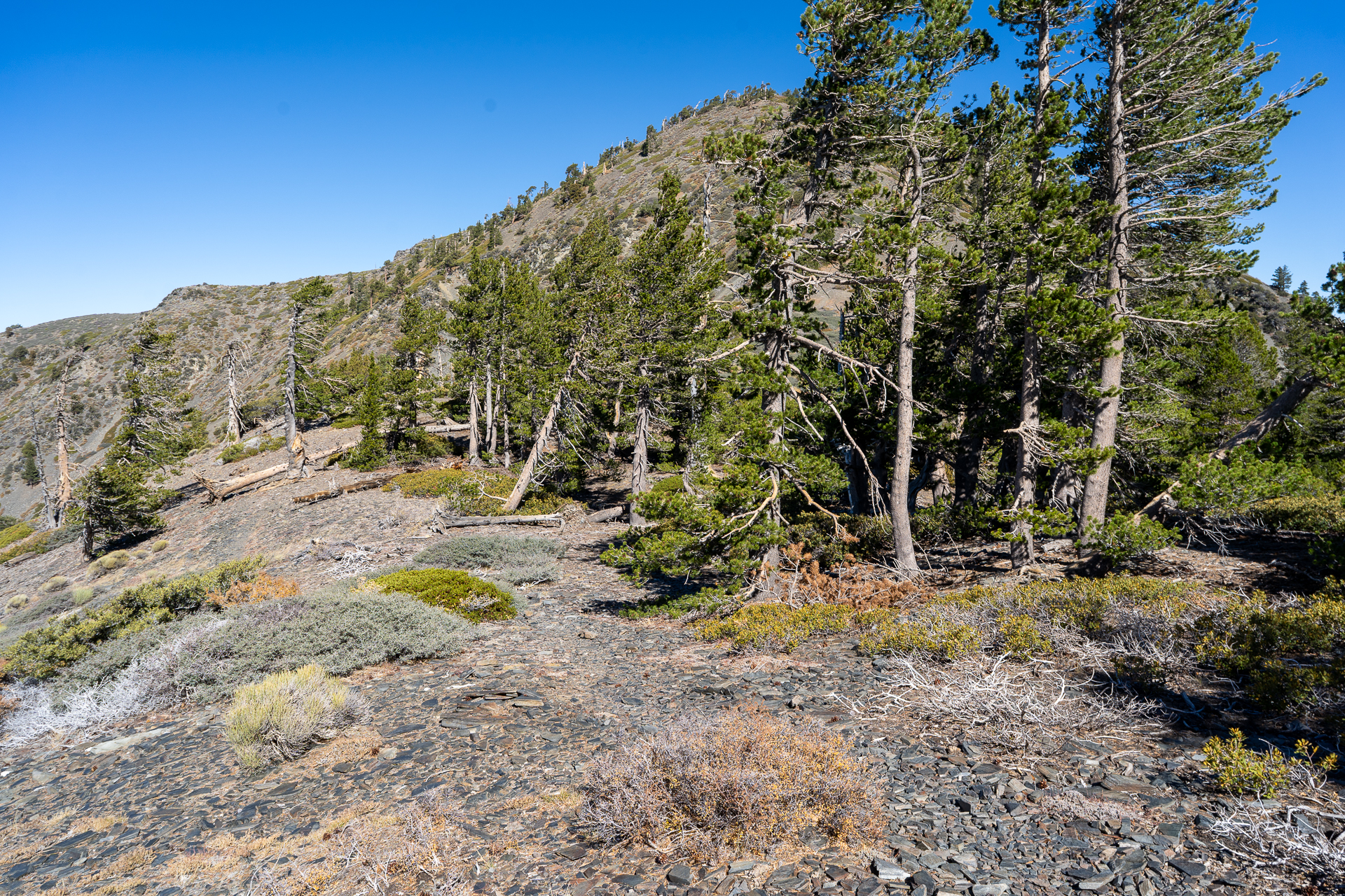 Baldy-Pine-Baldy Traverse