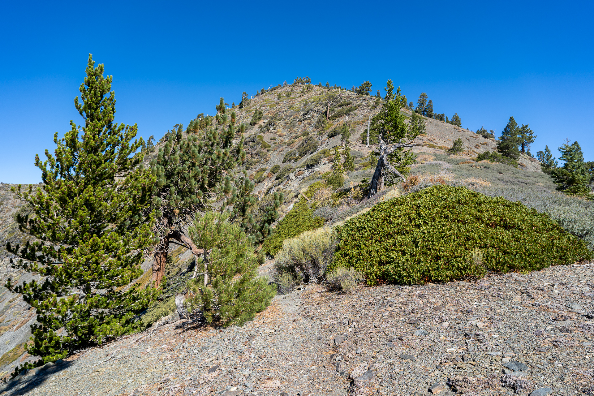 Baldy-Pine-Baldy Traverse