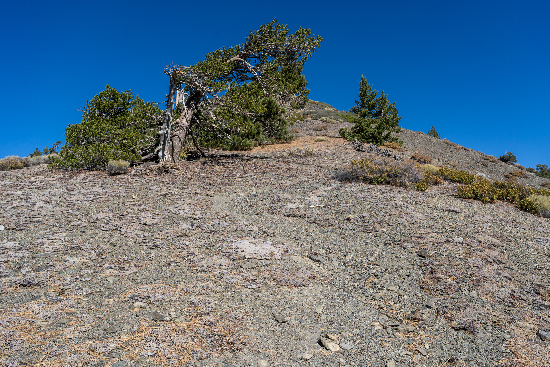 Baldy-Pine-Baldy Traverse