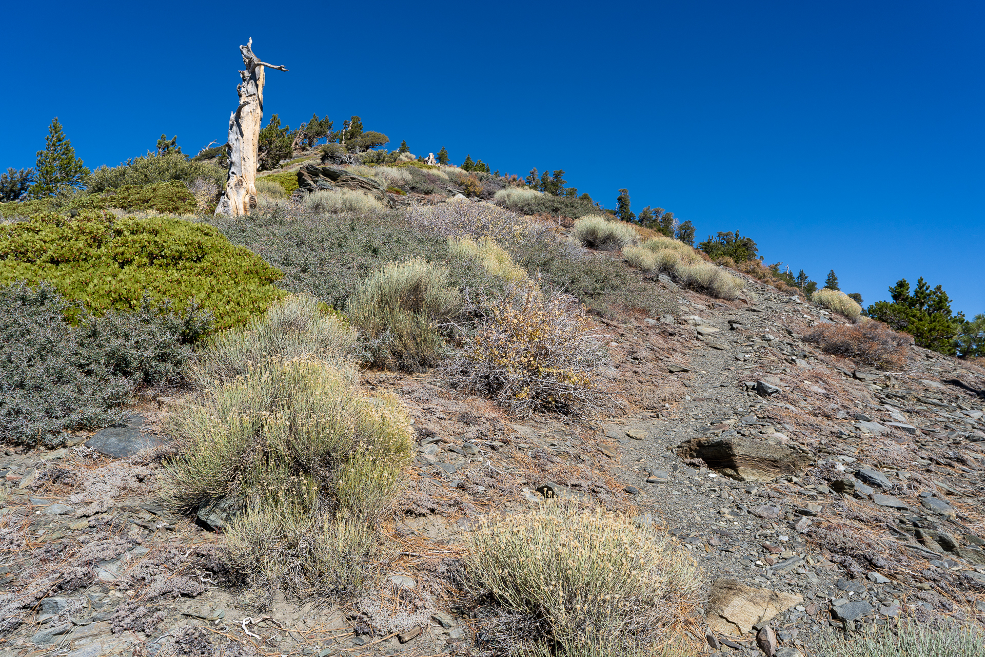 Baldy-Pine-Baldy Traverse