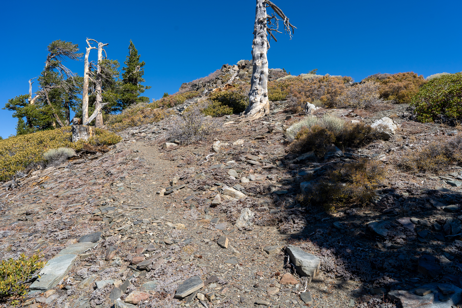 Baldy-Pine-Baldy Traverse
