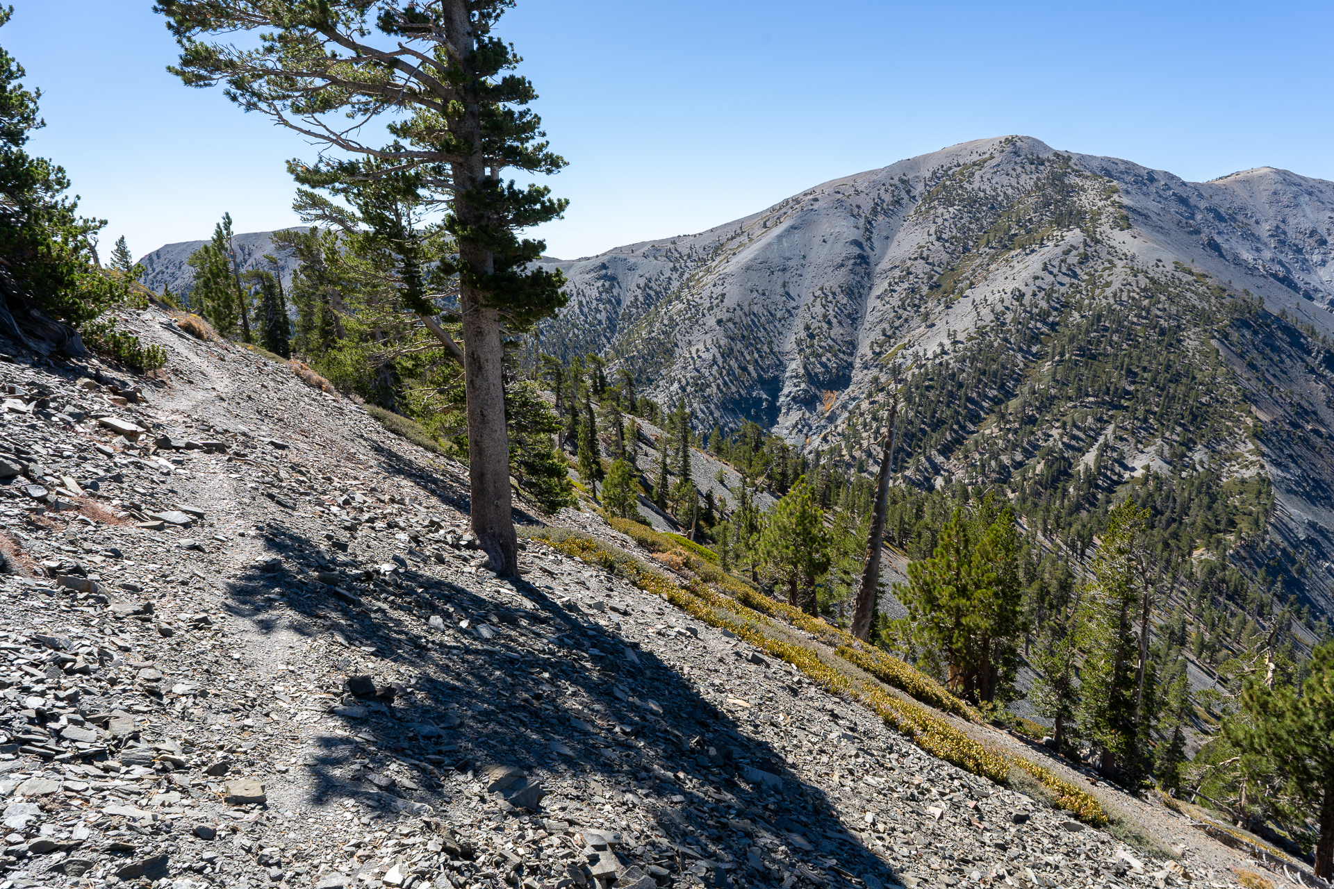 Baldy-Pine-Baldy Traverse