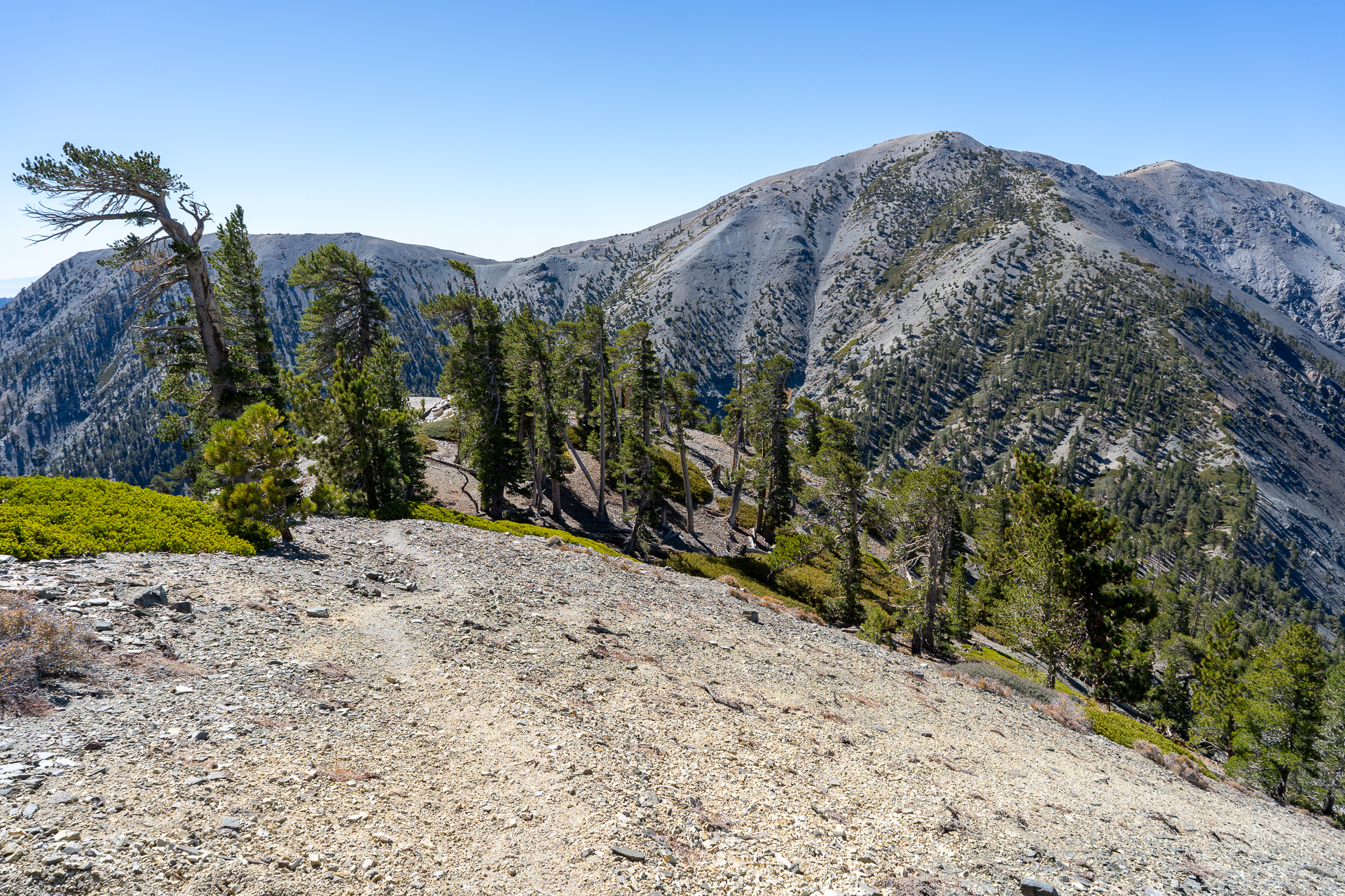Baldy-Pine-Baldy Traverse