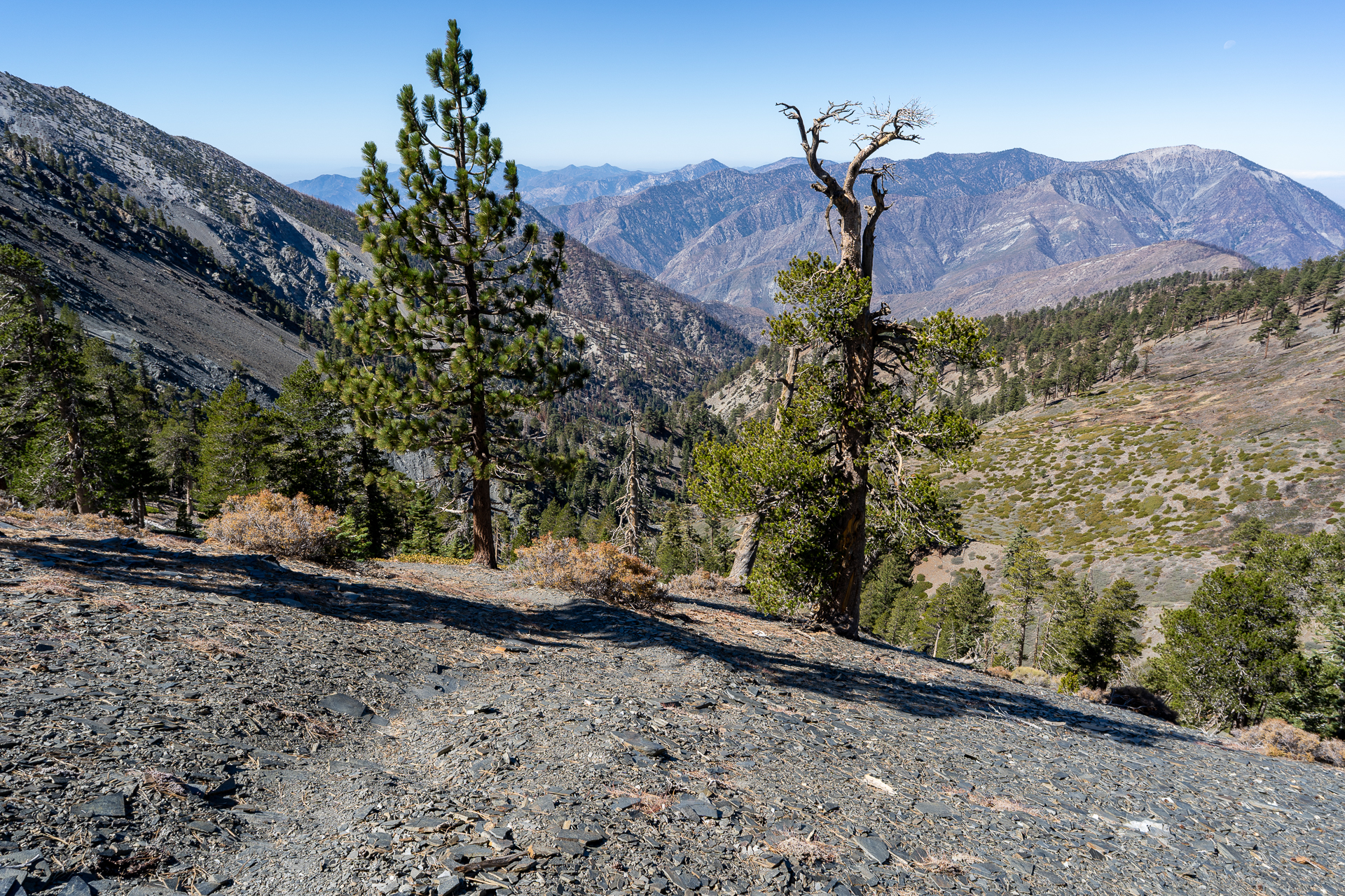 Baldy-Pine-Baldy Traverse