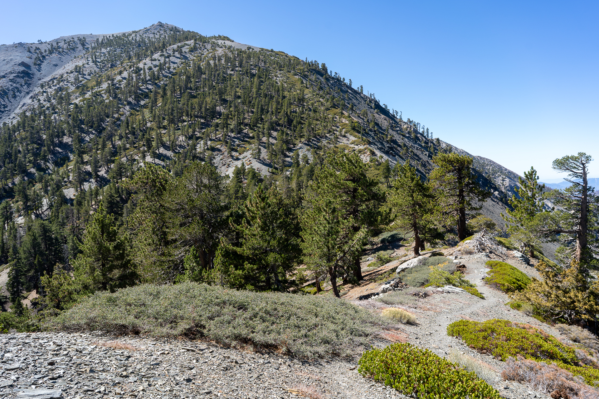 Baldy-Pine-Baldy Traverse