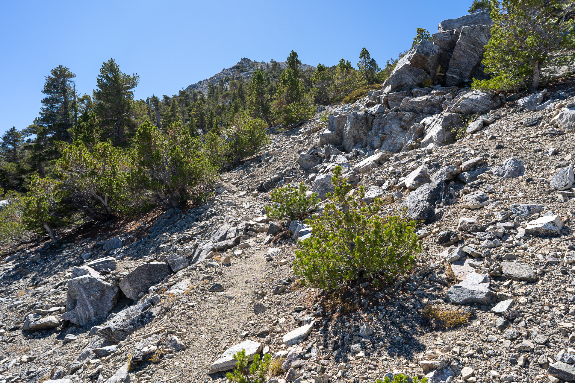 Baldy-Pine-Baldy Traverse