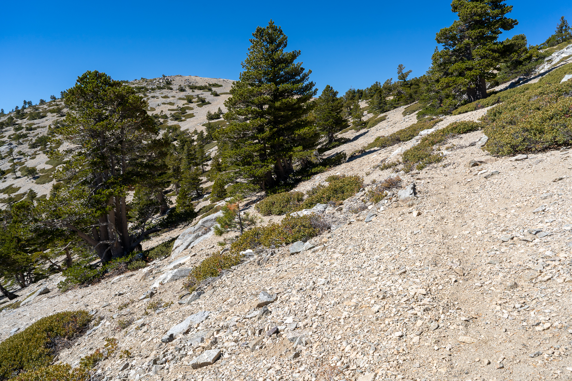 Baldy-Pine-Baldy Traverse
