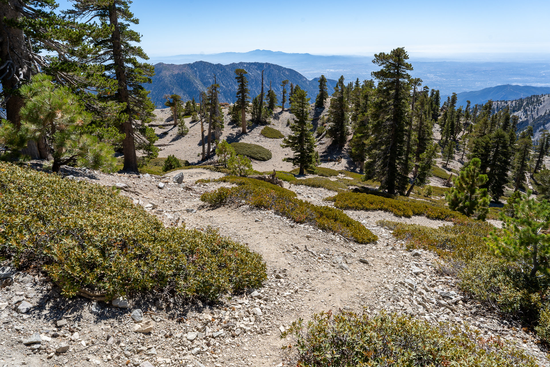 Baldy-Pine-Baldy Traverse