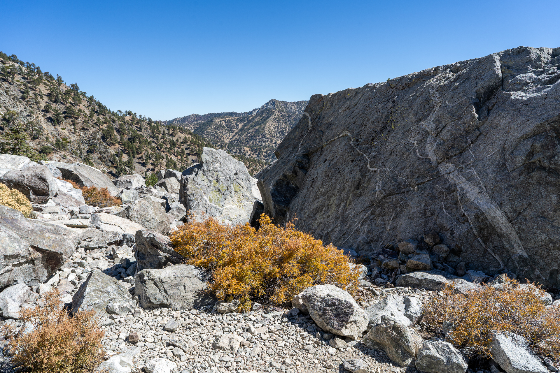 Baldy-Pine-Baldy Traverse