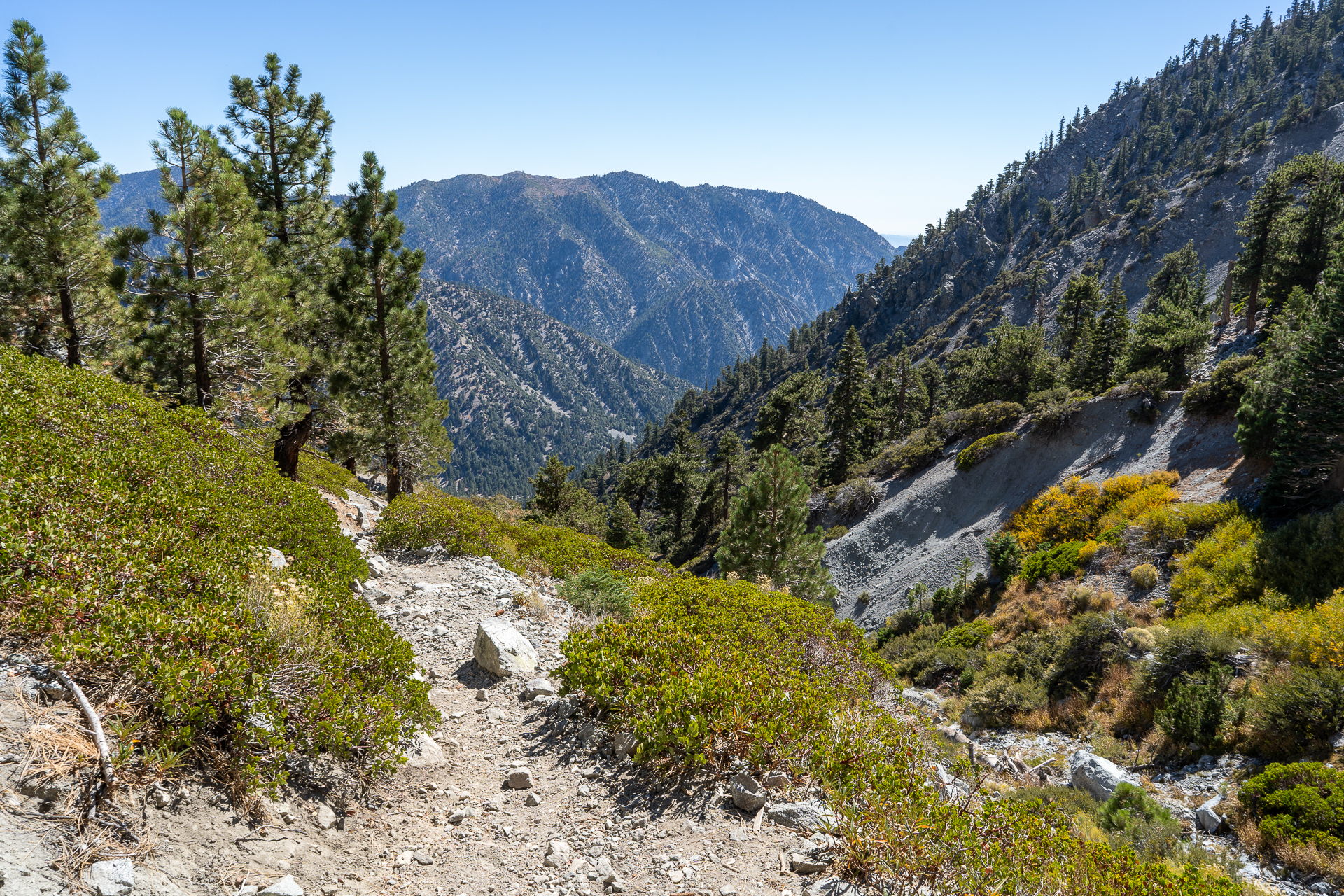 Baldy-Pine-Baldy Traverse