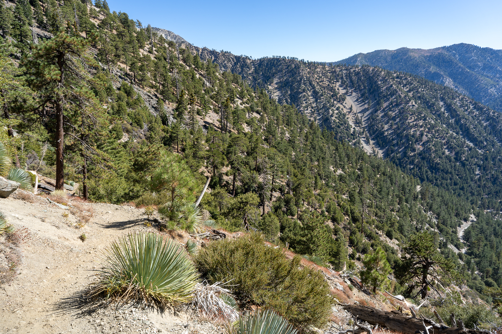 Baldy-Pine-Baldy Traverse