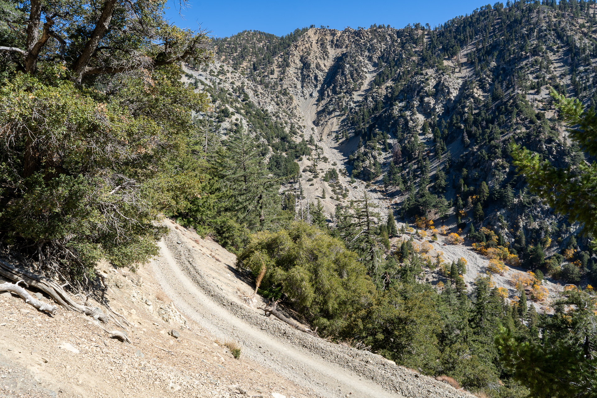 Baldy-Pine-Baldy Traverse
