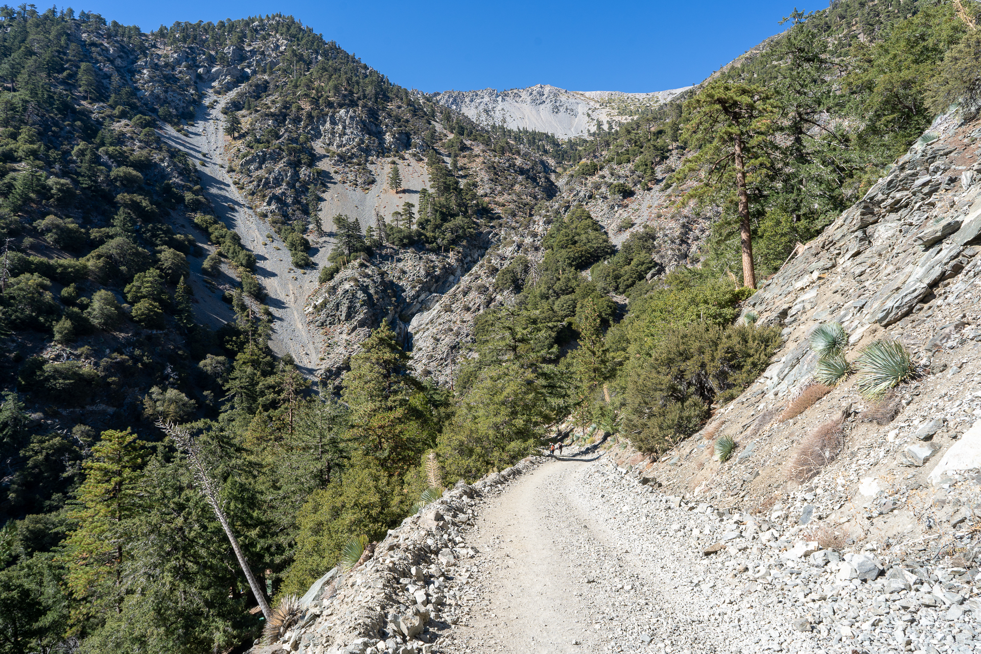 Baldy-Pine-Baldy Traverse