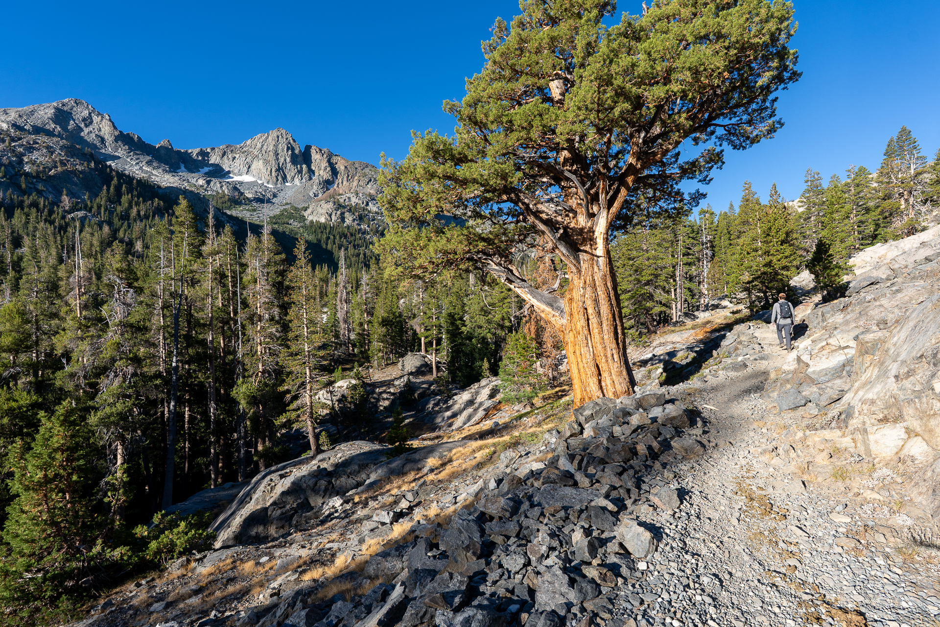 Clyde Minaret via Rock Route
