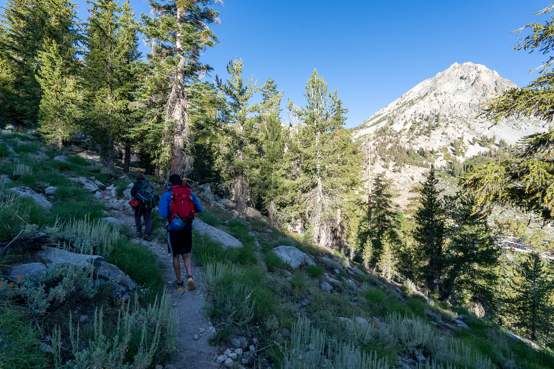 Trip report photo for Independence Peak via North Ridge