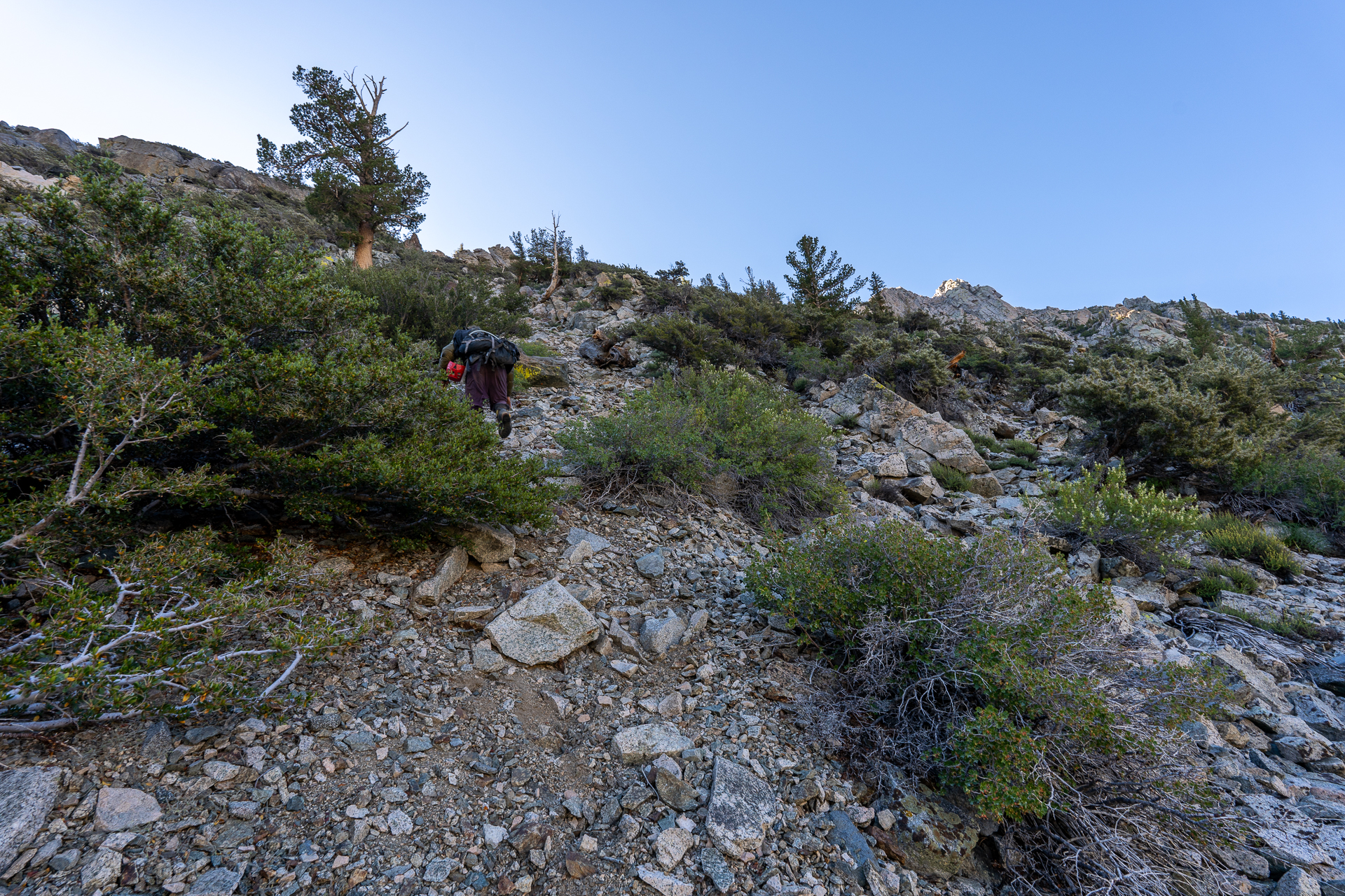 Trip report photo for Independence Peak via North Ridge