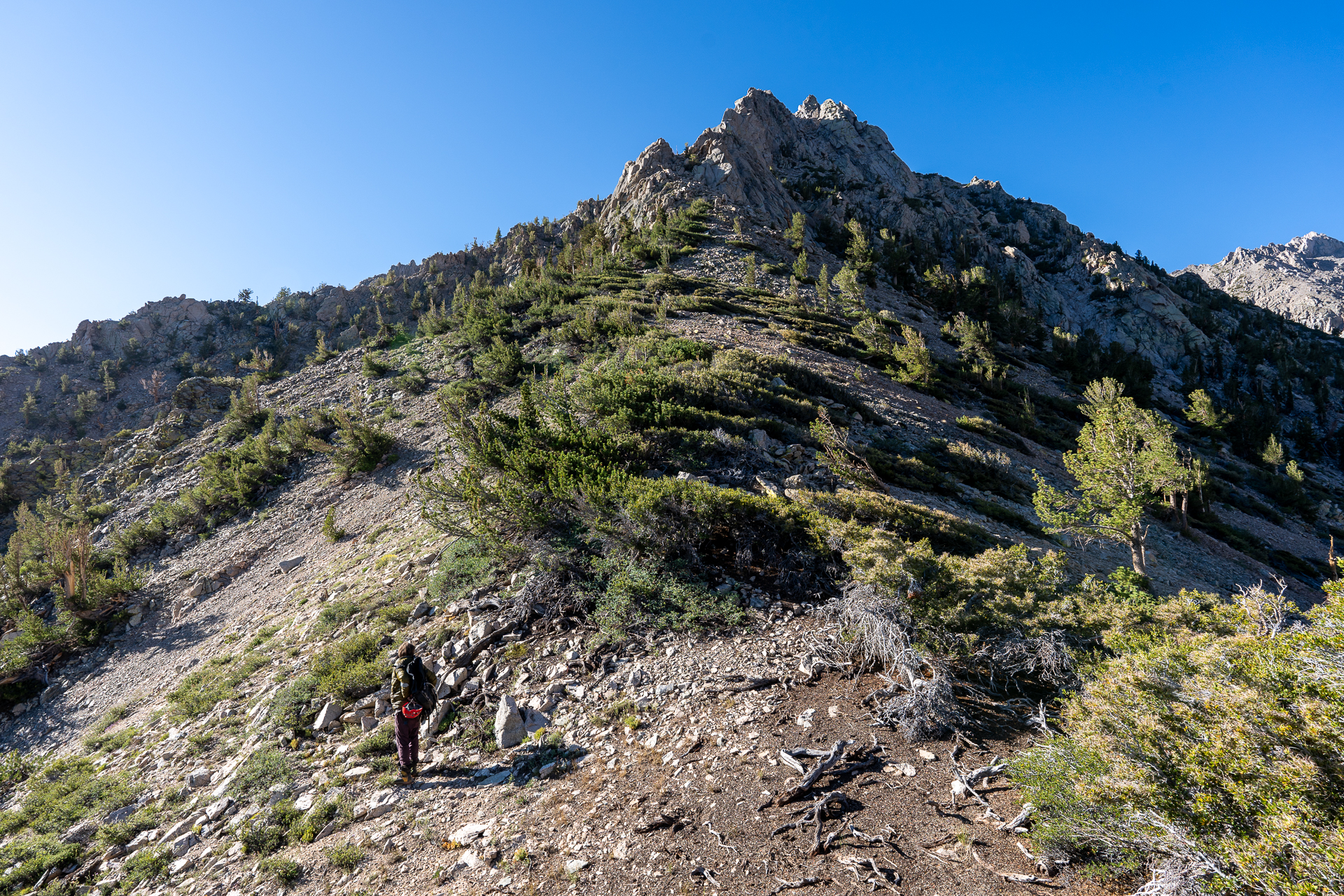 Trip report photo for Independence Peak via North Ridge