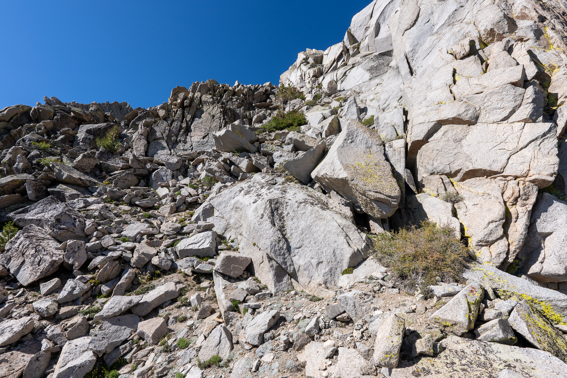 Trip report photo for Independence Peak via North Ridge