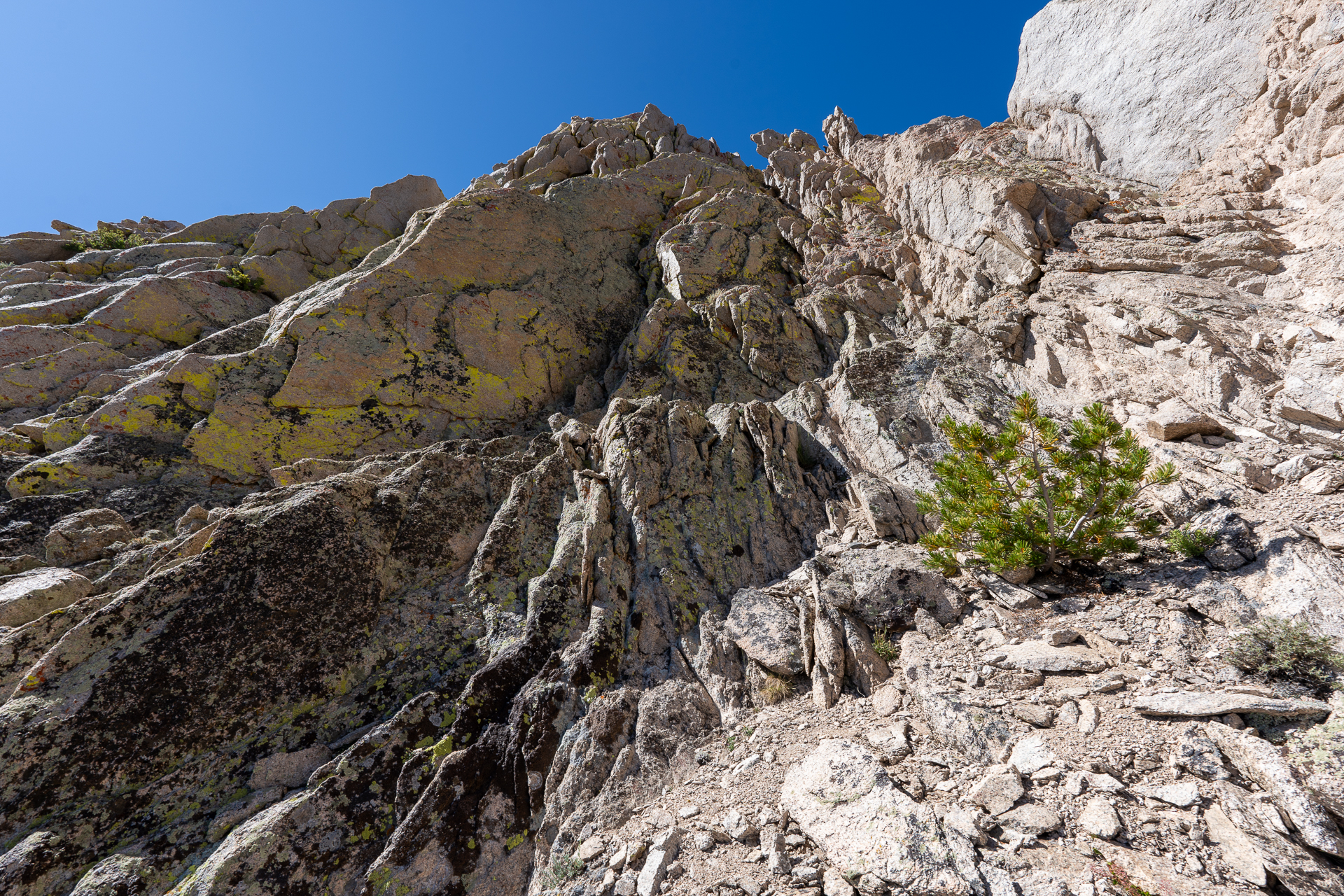 Trip report photo for Independence Peak via North Ridge