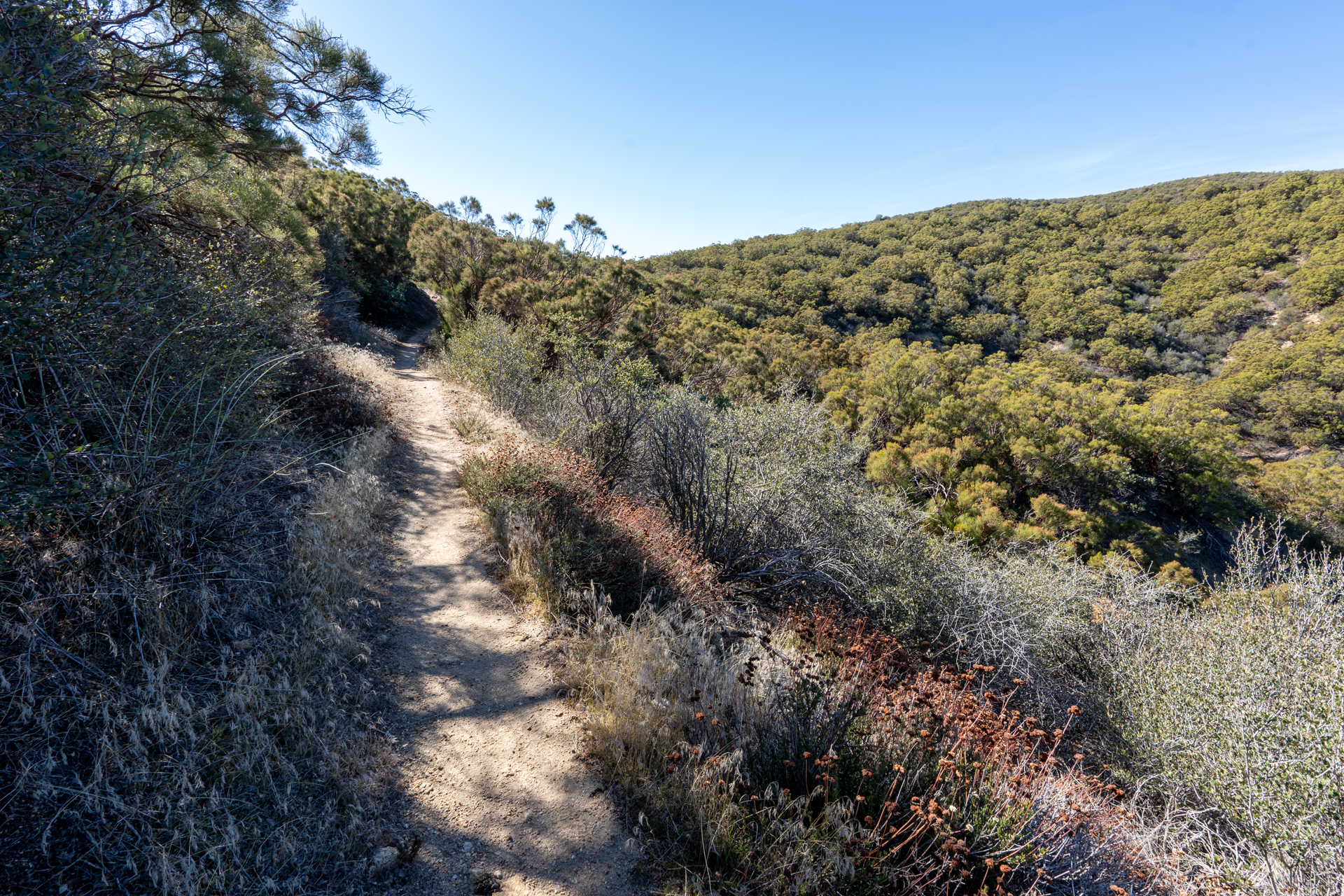 Trip report photo for Lookout Mountain