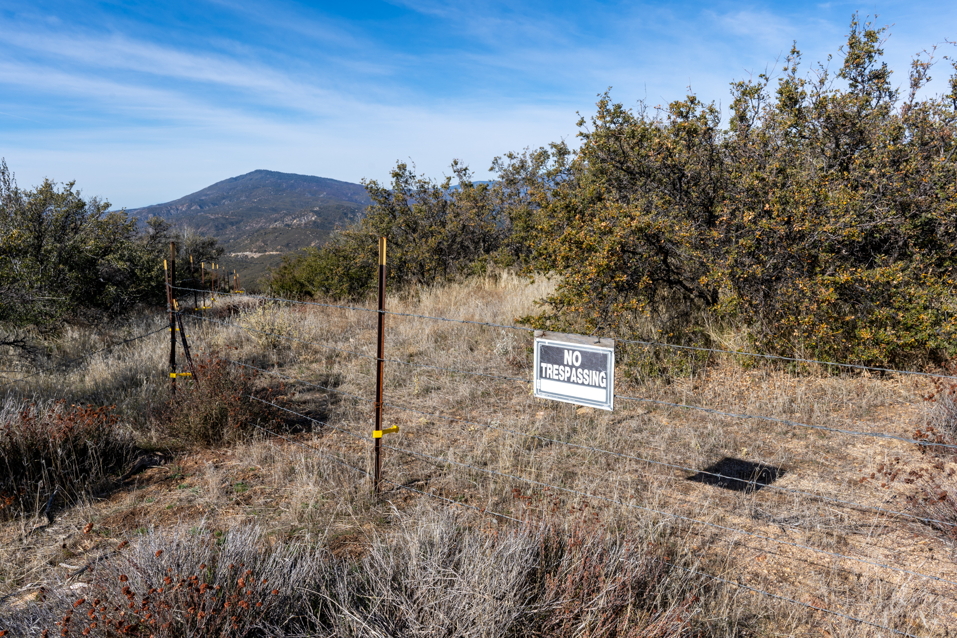 Trip report photo for Lookout Mountain