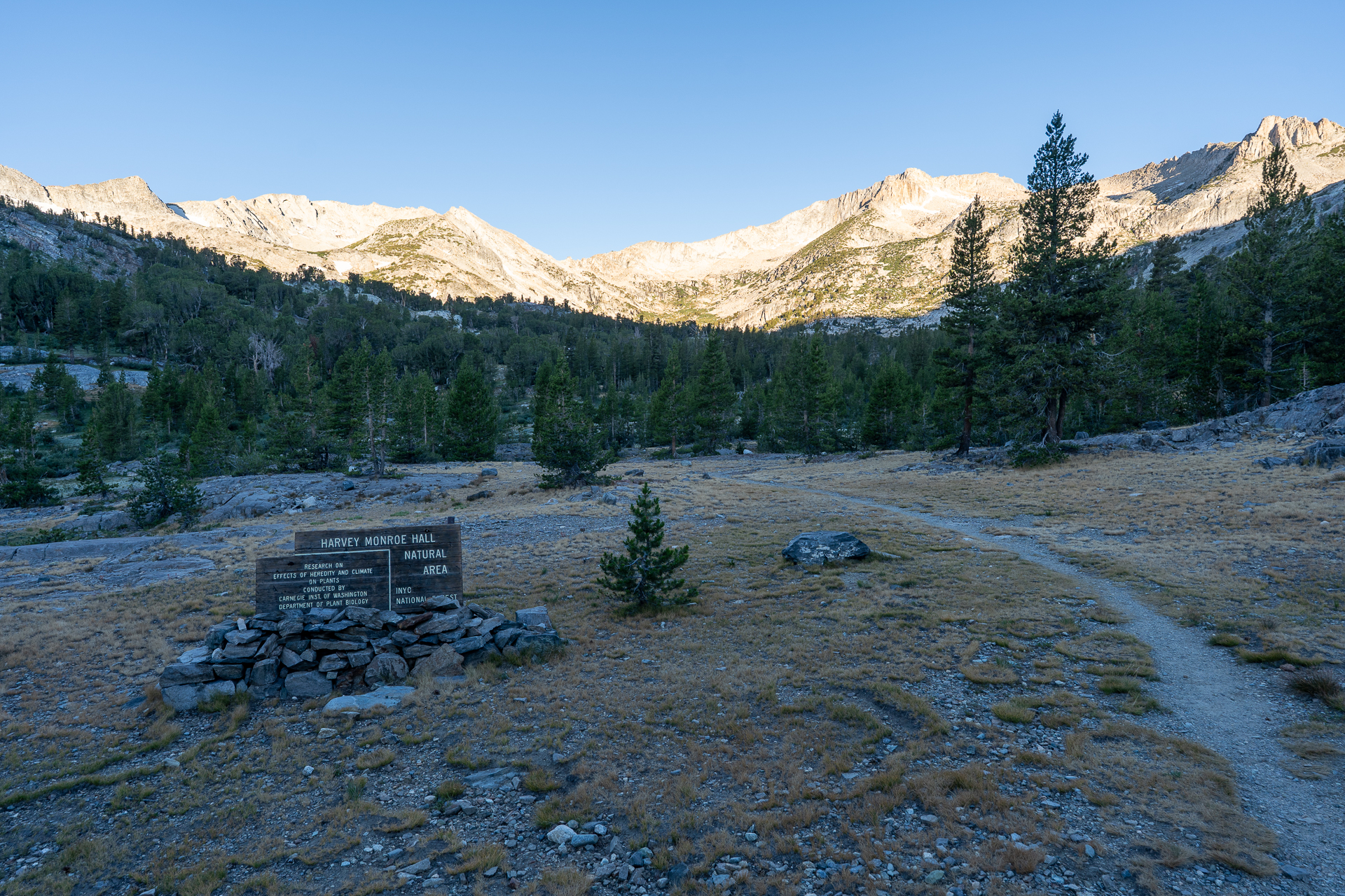 Mount Conness and White Mountain
