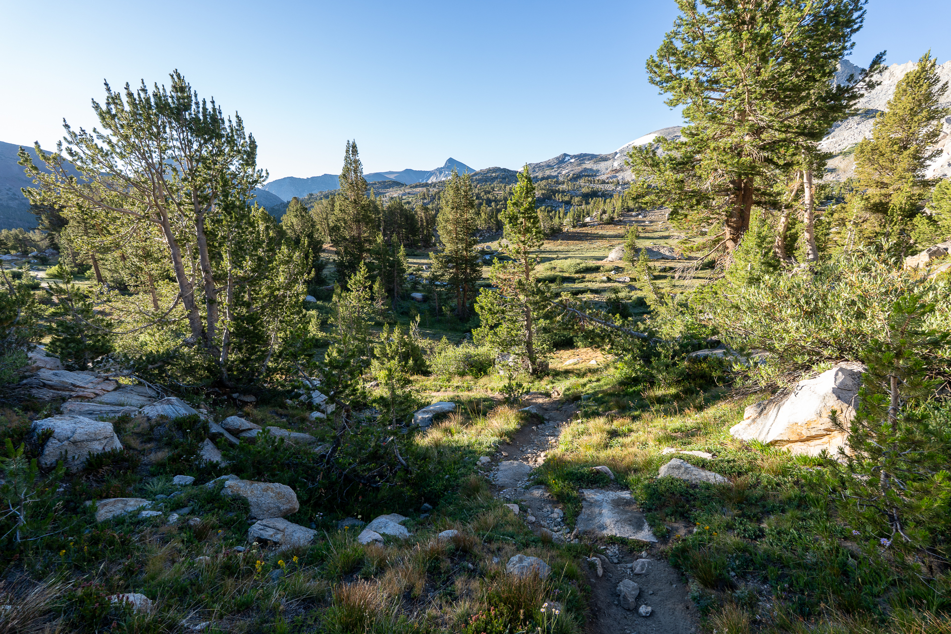 Mount Conness and White Mountain