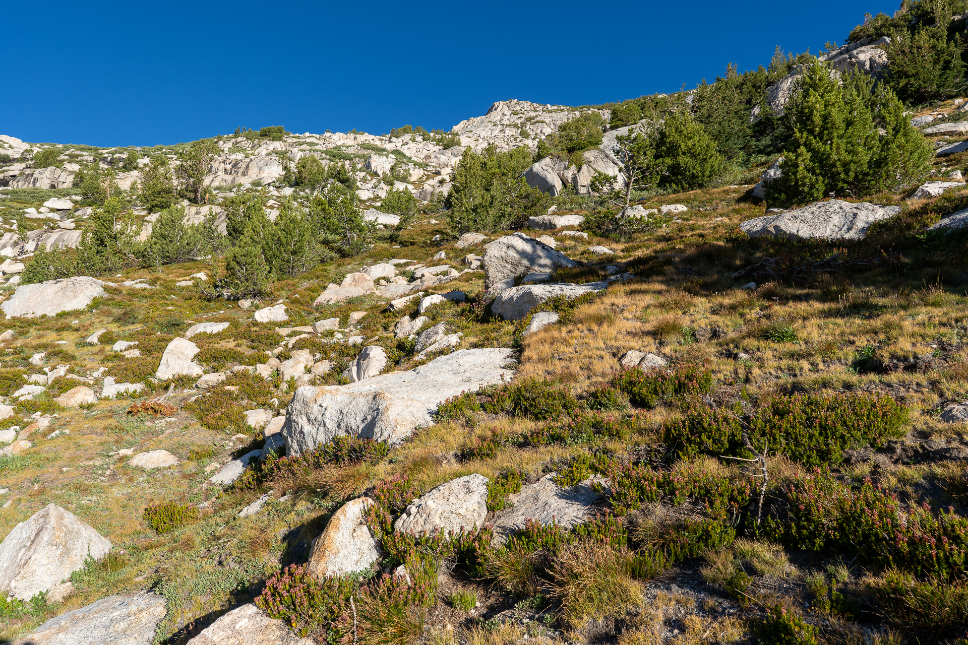 Mount Conness and White Mountain
