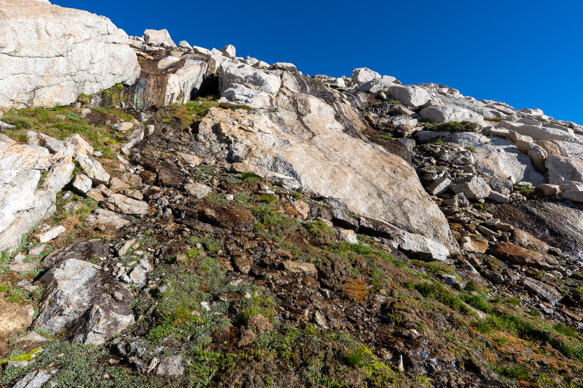 Mount Conness and White Mountain