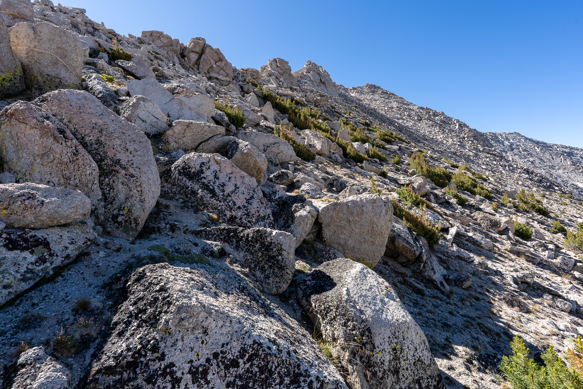 Mount Conness and White Mountain