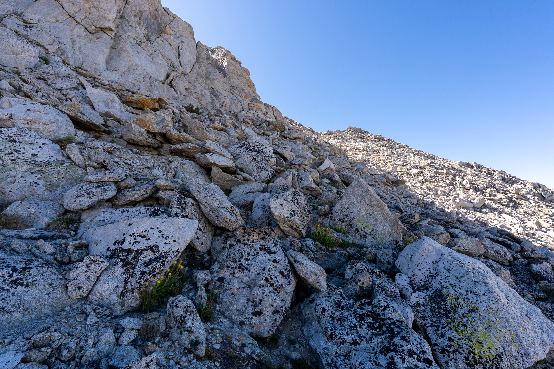Mount Conness and White Mountain