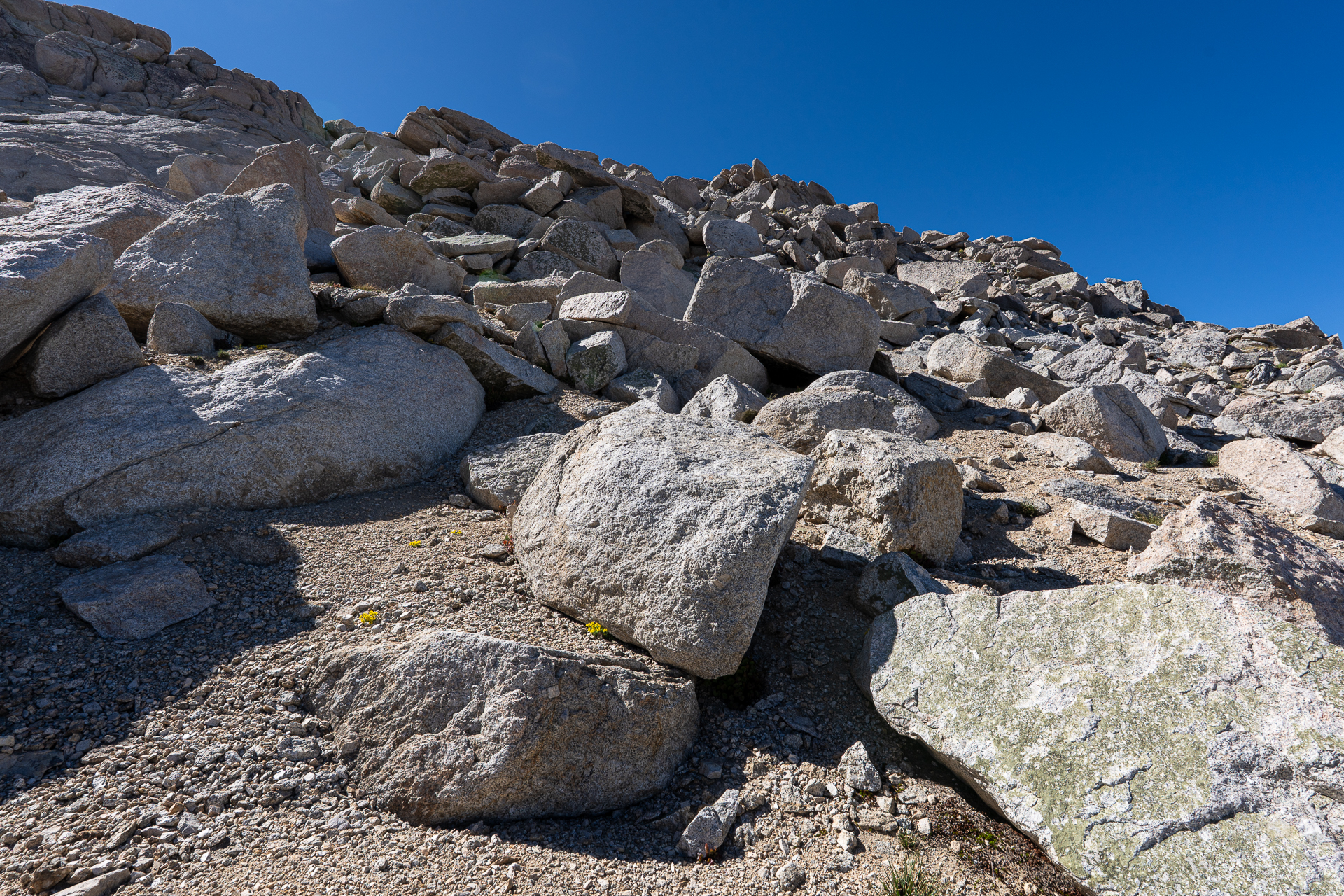 Mount Conness and White Mountain
