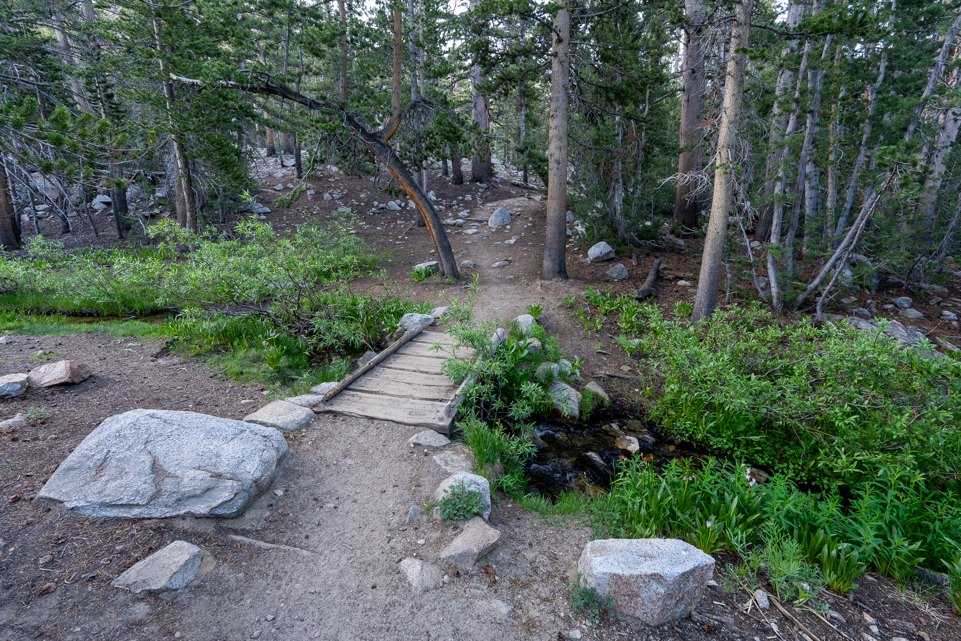 Trip report photo for Mount Goode and Mount No Goode