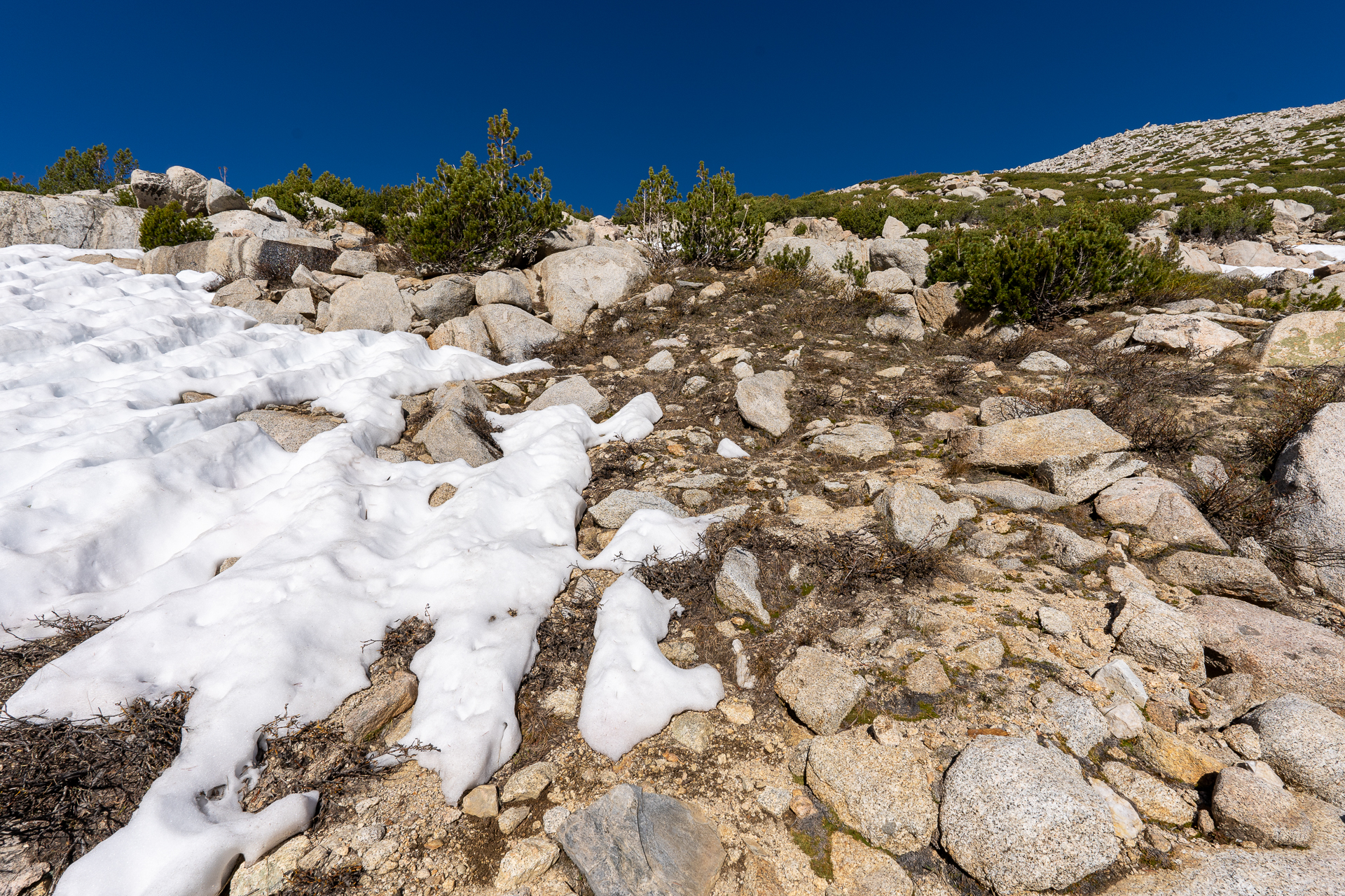 Trip report photo for Mount Goode and Mount No Goode
