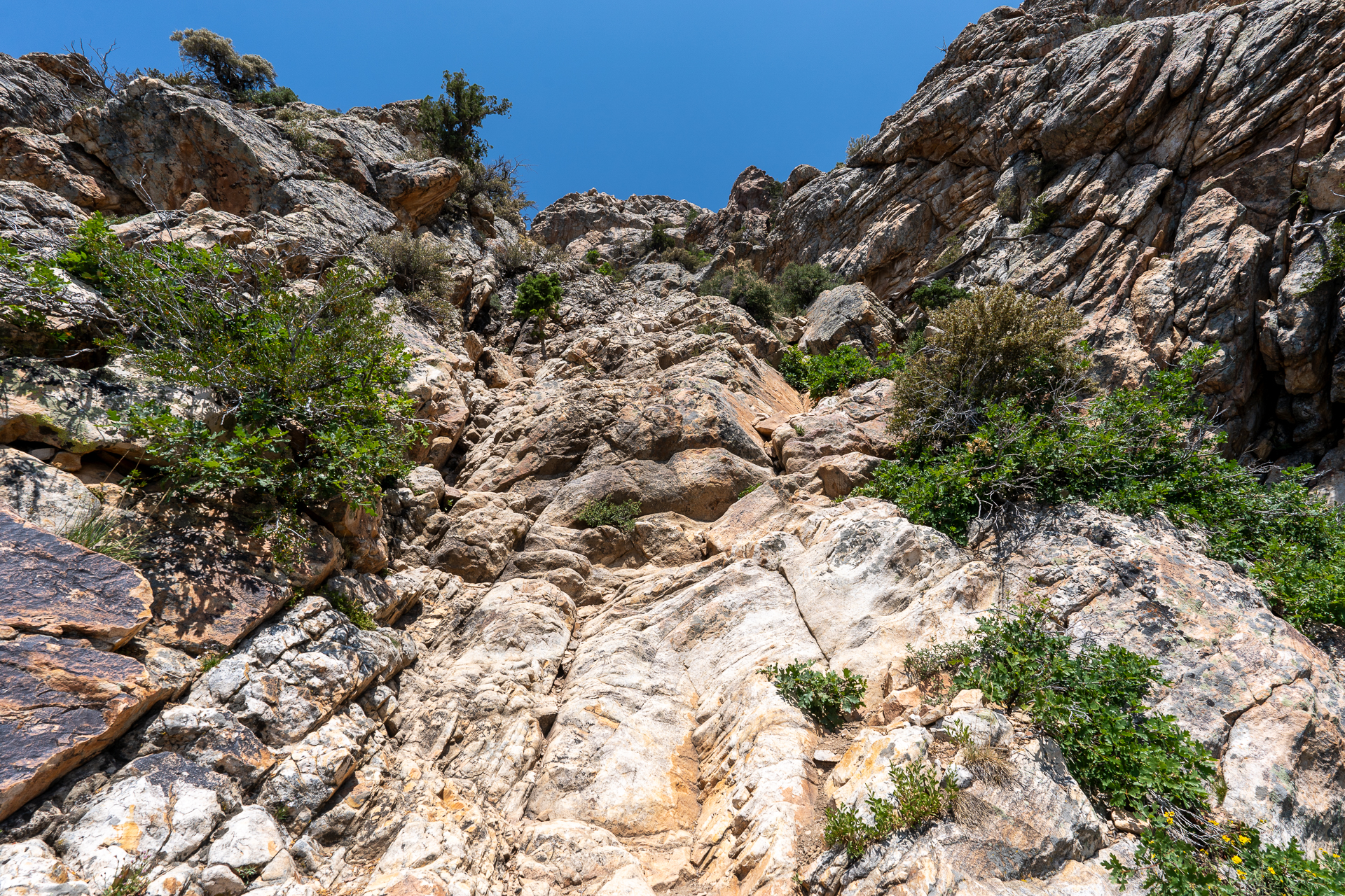 Mount Olympus